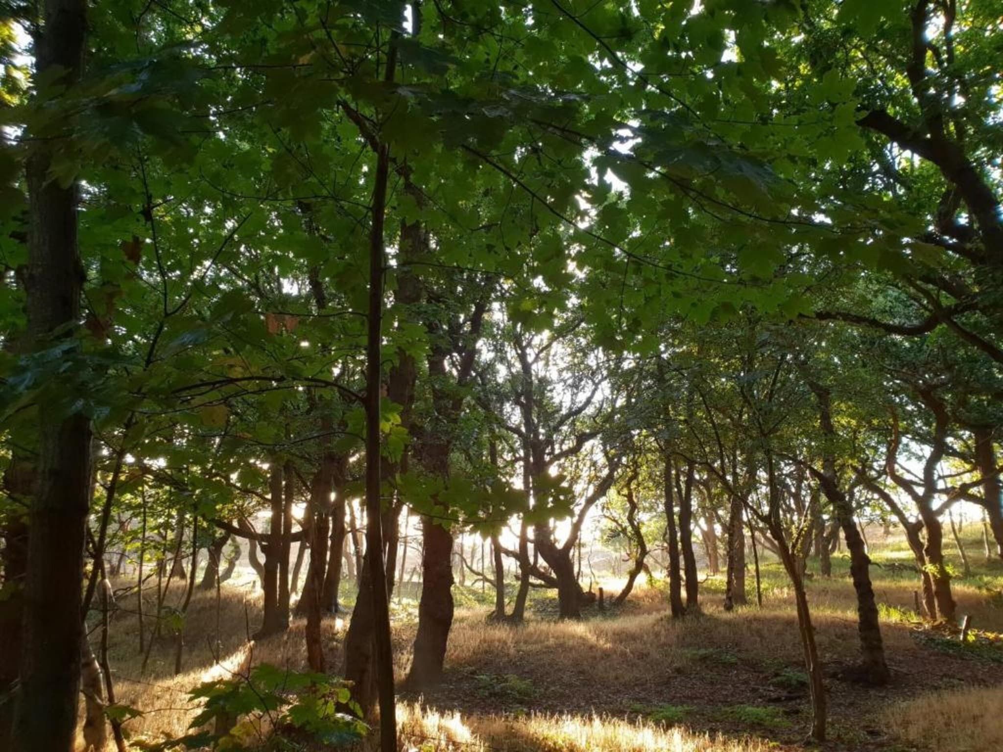 Twee Duinen in Oostkapelle - Foto 32 van 40