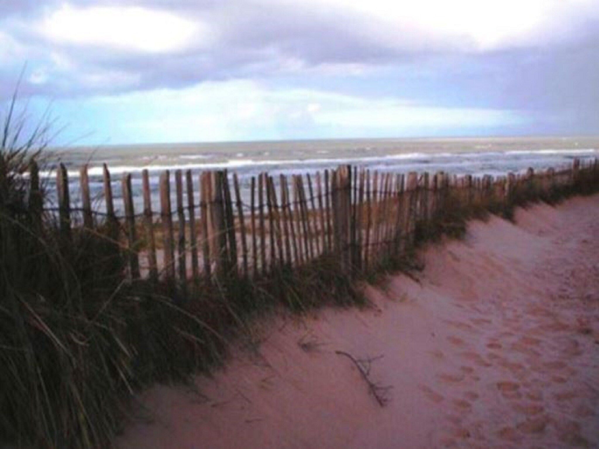 Helmgras I in Egmond aan zee - Foto 19 van 40