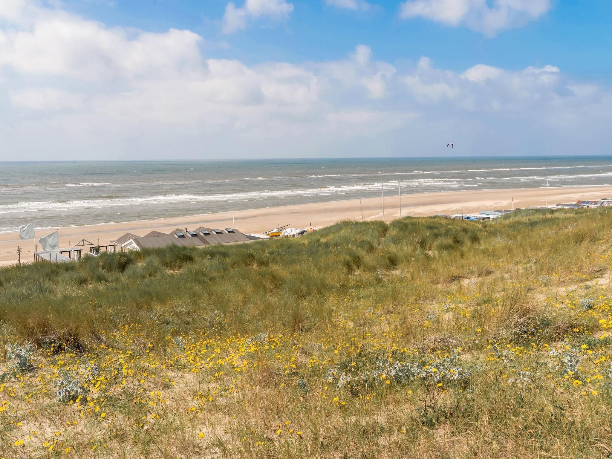 Helmgras I in Egmond aan zee - Foto 11 van 40