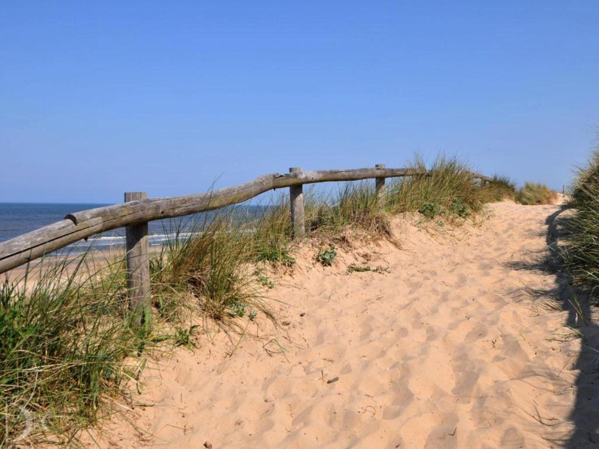 Helmgras I in Egmond aan zee - Foto 13 van 40