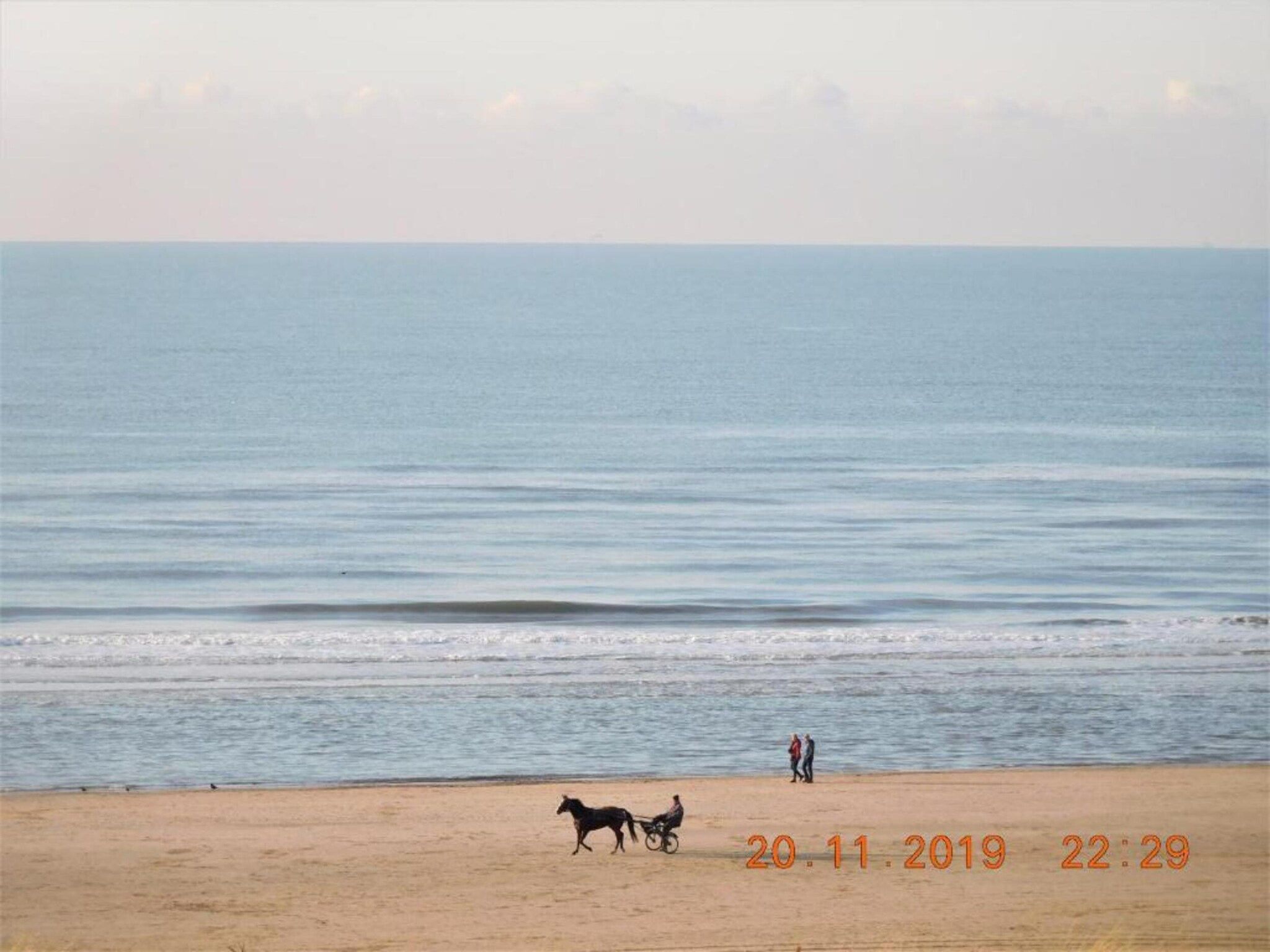Helmgras I in Egmond aan zee - Foto 28 van 40