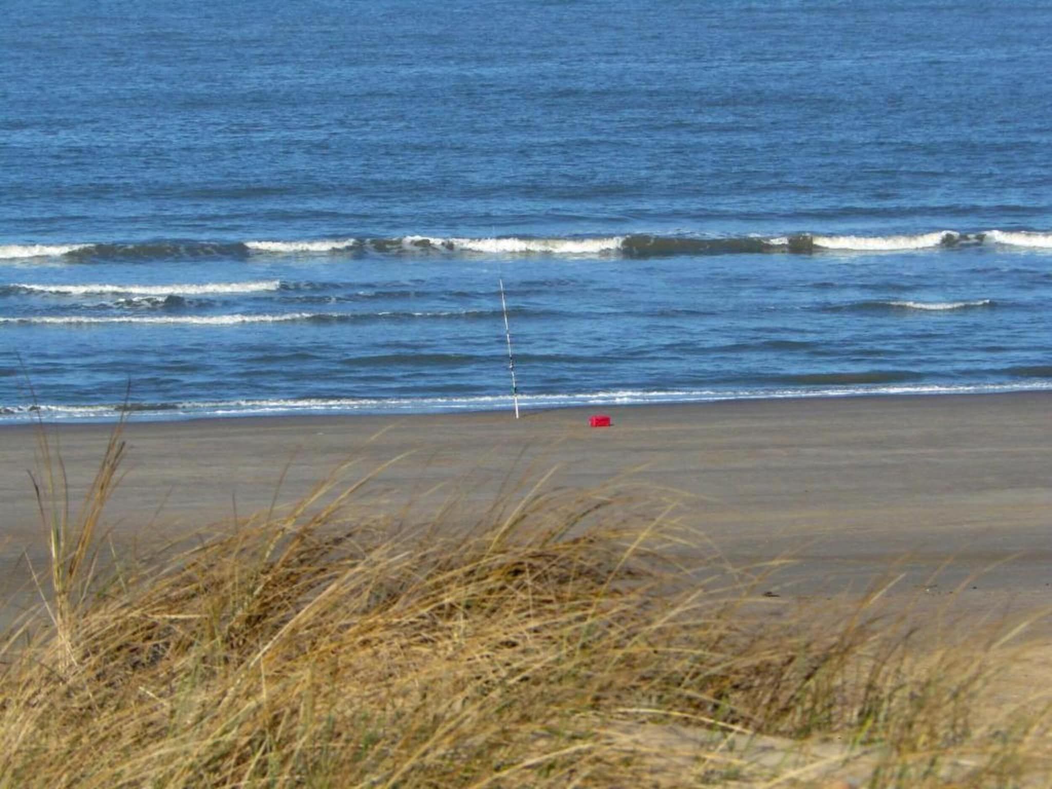 De Strandvogel in Julianadorp - Foto 33 van 42