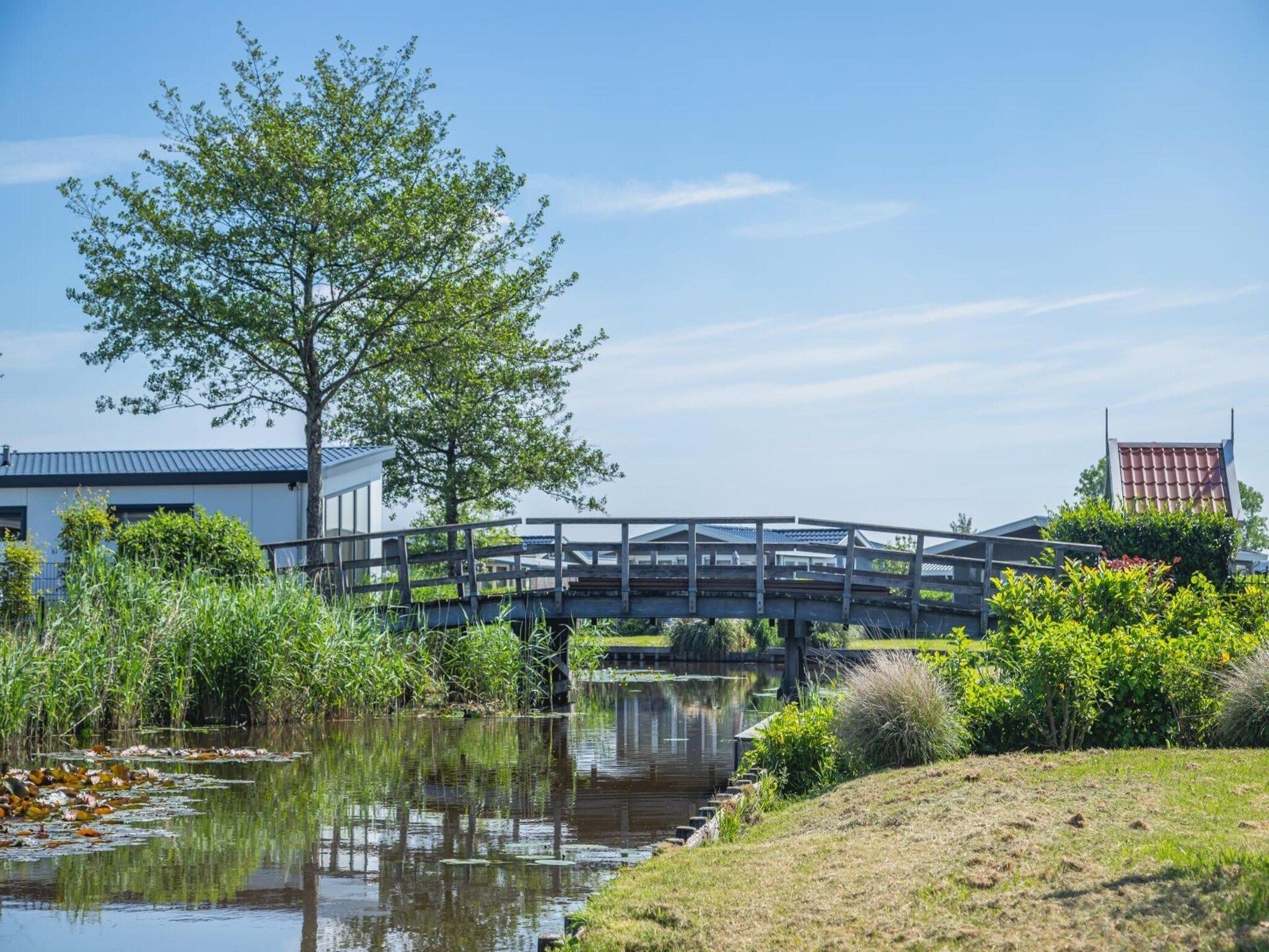 De omgeving van De Rijp  6 personen in West-Graftdijk