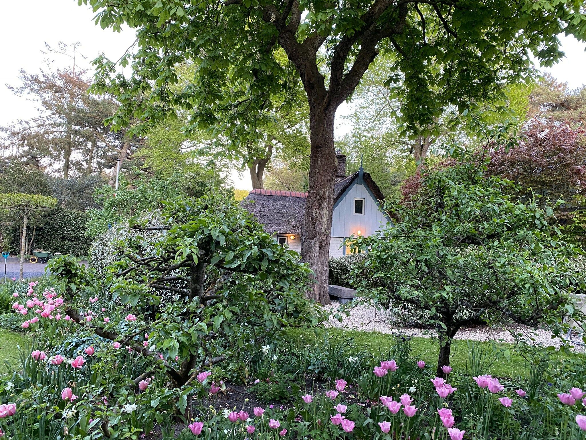 De tuin van Romantisch Bergen in Bergen