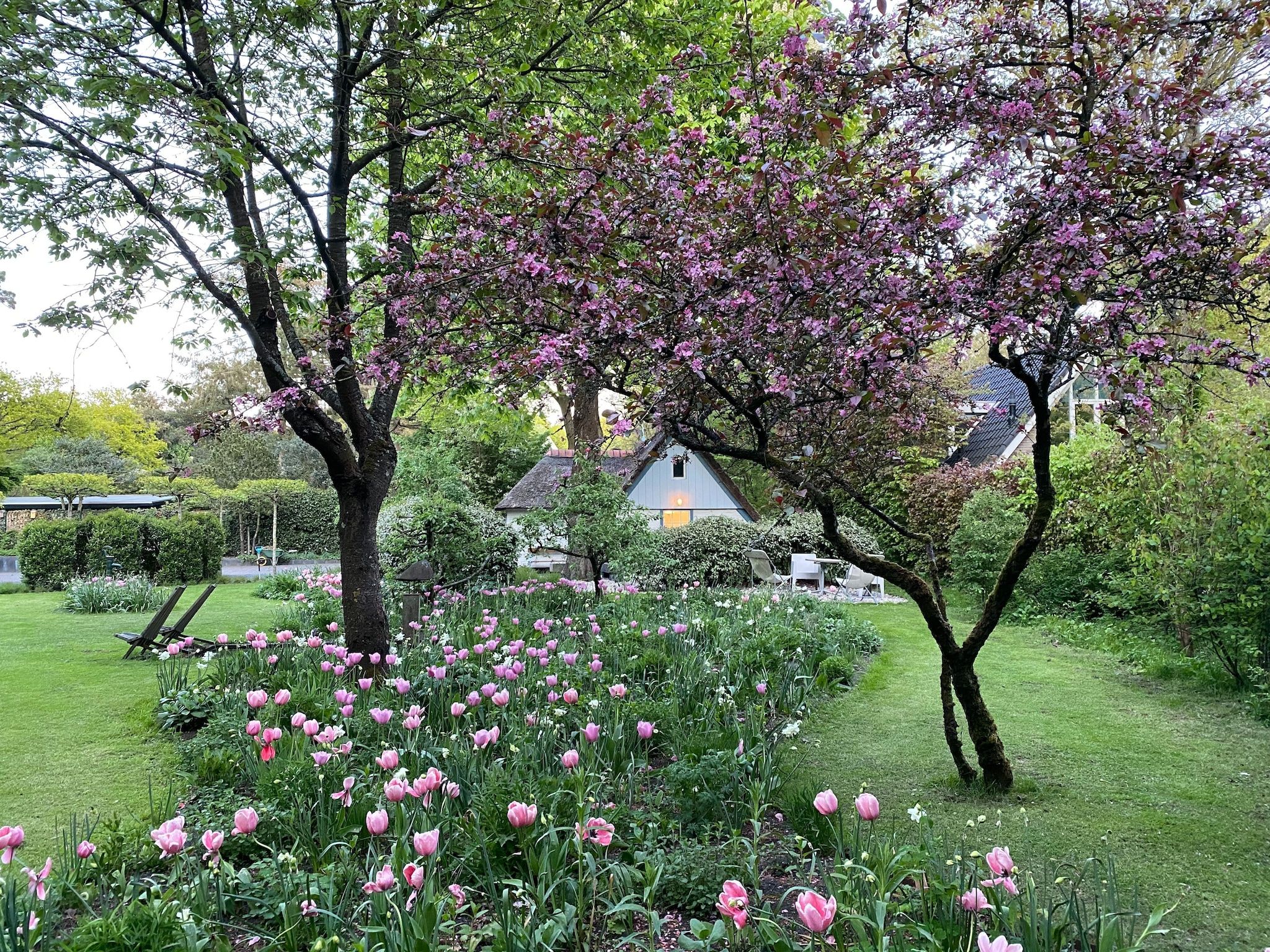 De tuin van Romantisch Bergen in Bergen