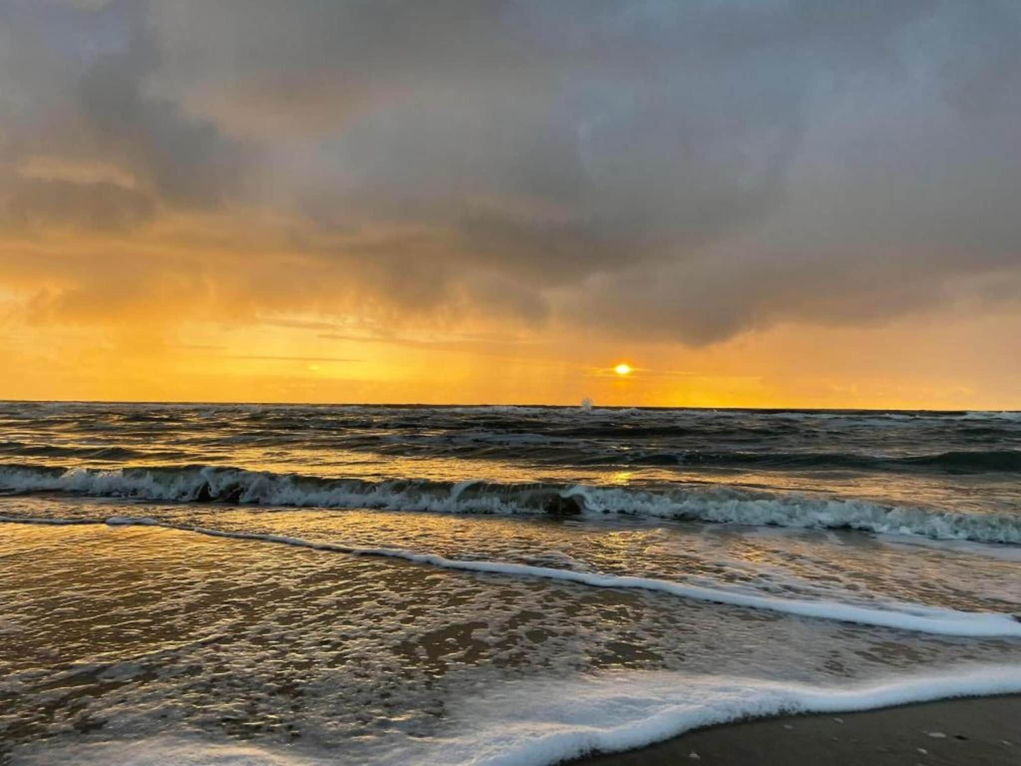 Helmgras II in Egmond aan zee - Foto 19 van 40