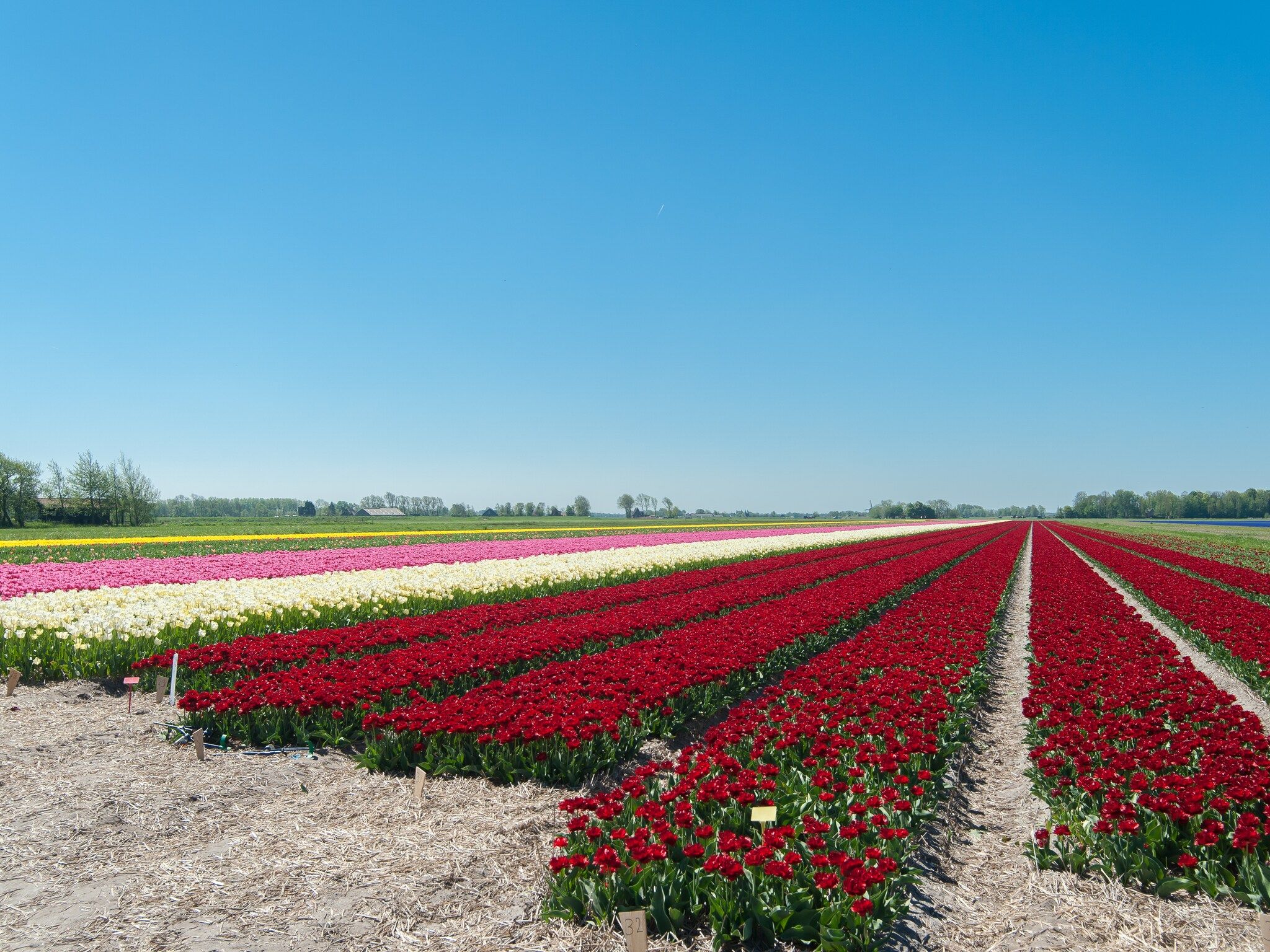 De omgeving van Wilca Hoeve in Schoorl