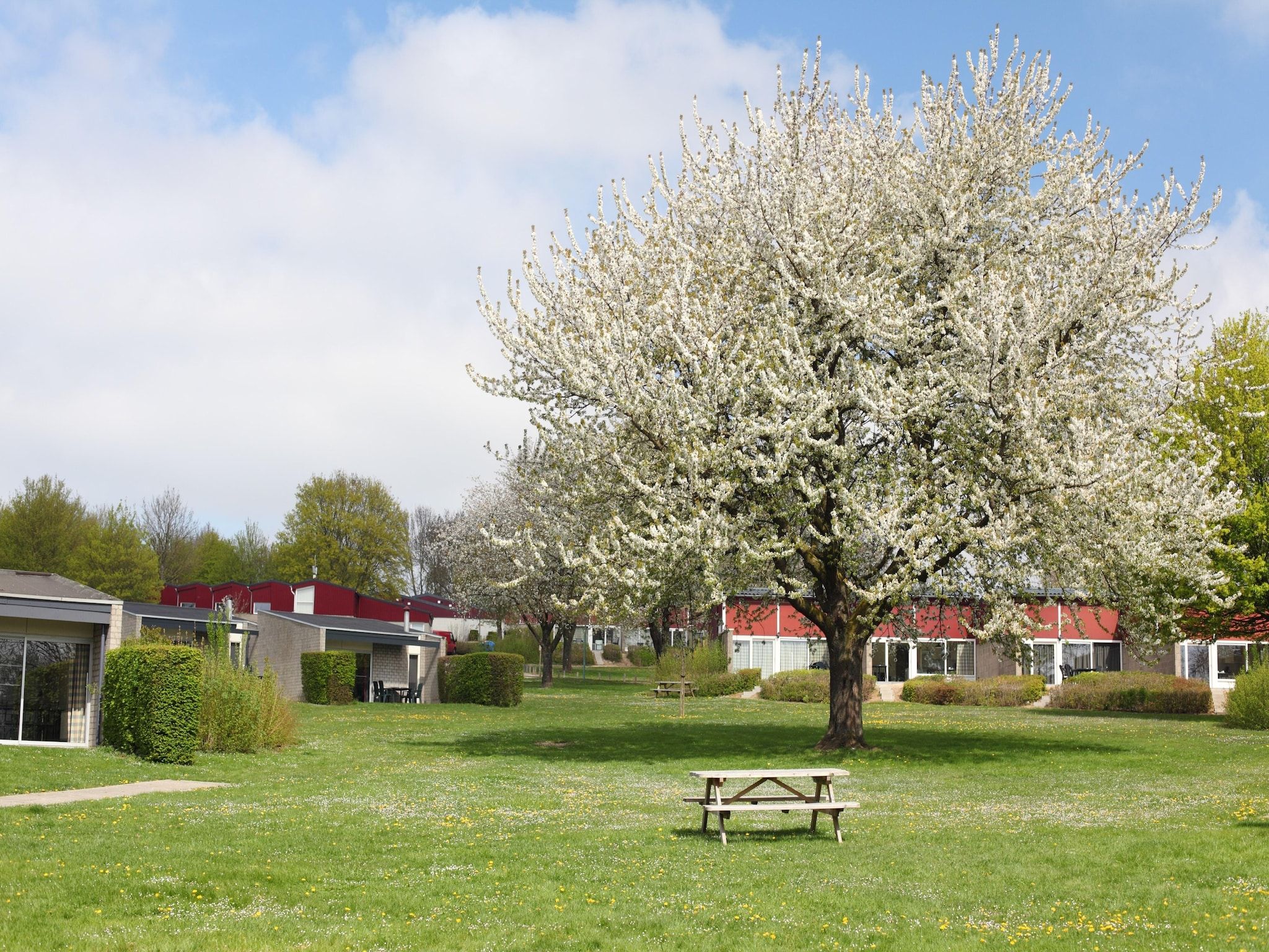 De tuin van Bungalowpark Schin op Geul 6 in Walem