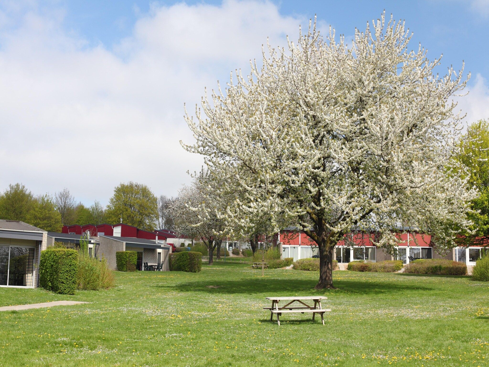 De tuin van Bungalowpark Schin op Geul 9 in Walem