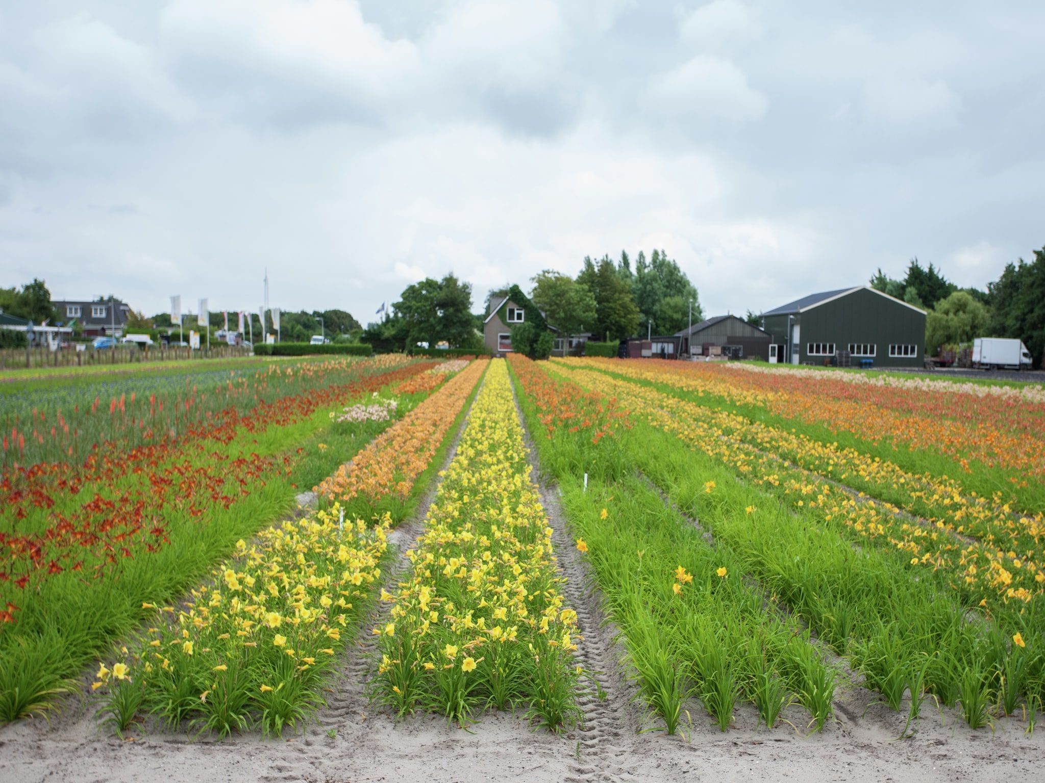 Zeearend Boulevard in Noordwijk - Foto 25 van 40