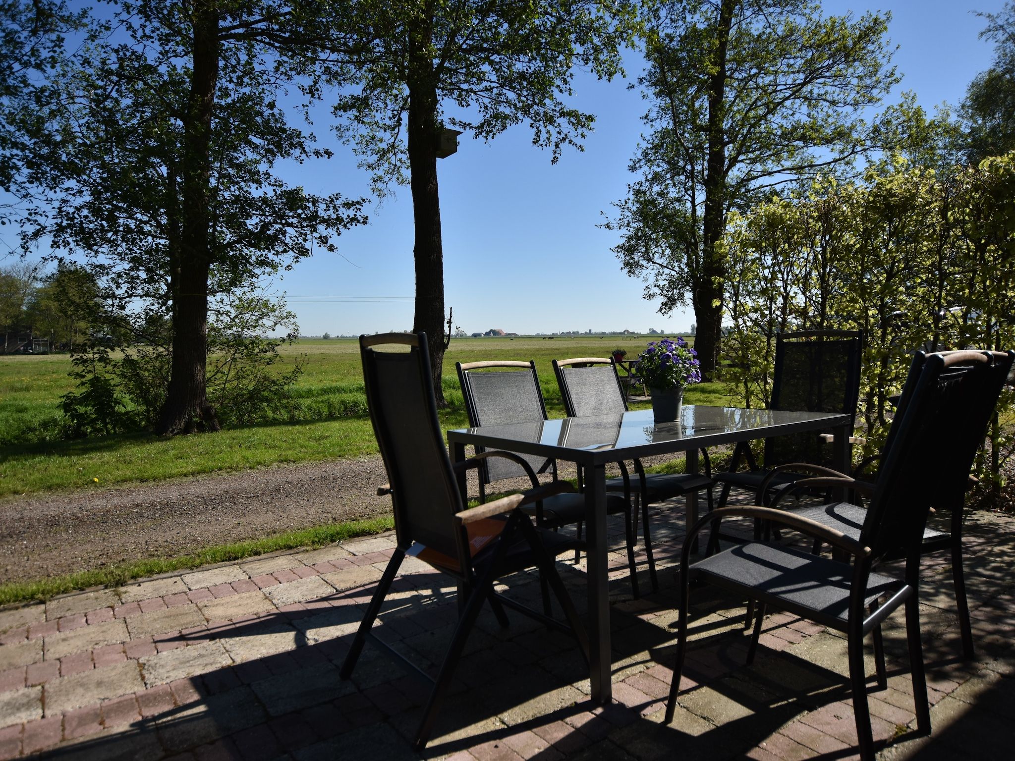 Het terras van Berkenhof in Workum