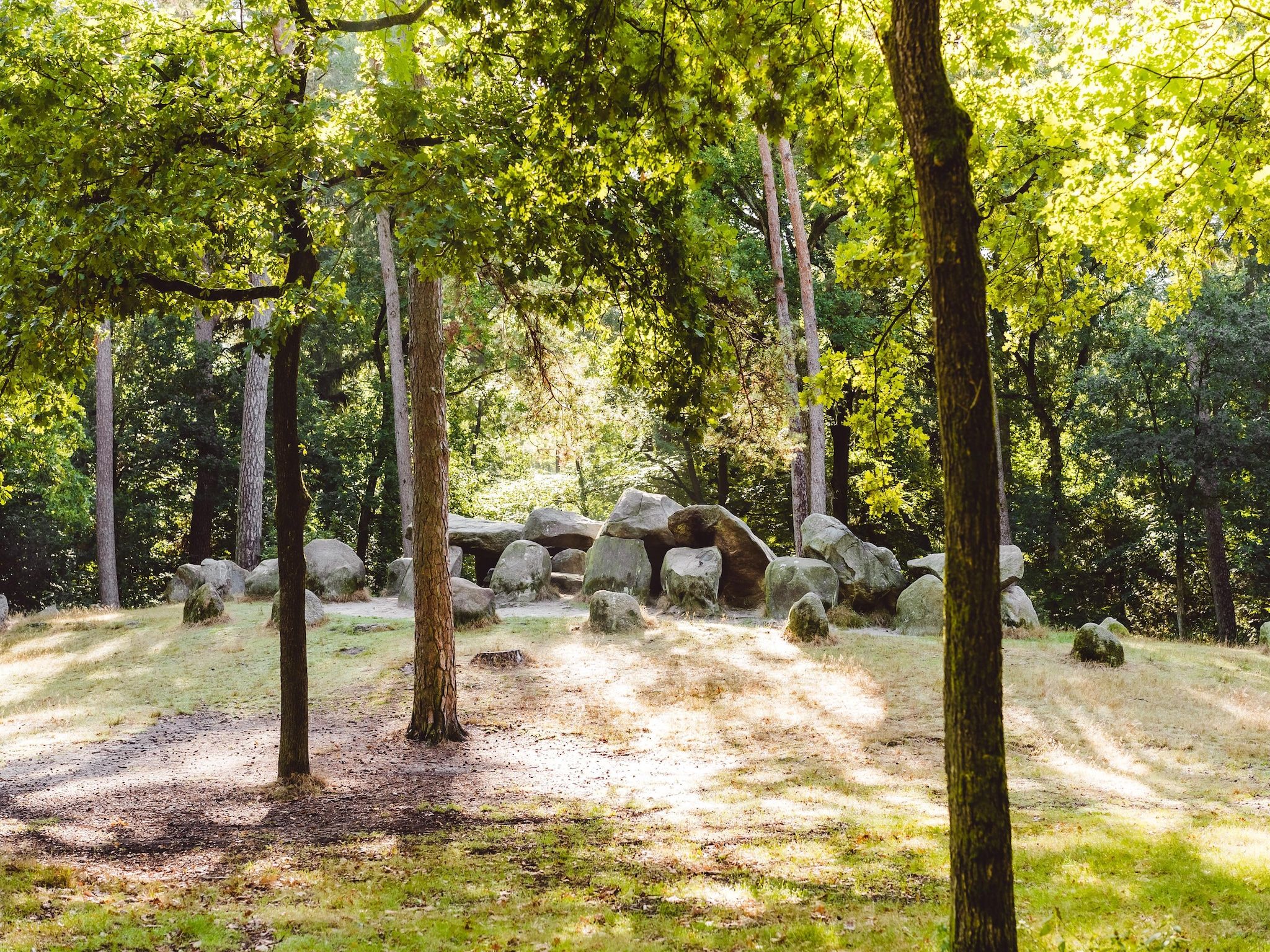 De omgeving van Hunzepark 1 in Gasselternijveen