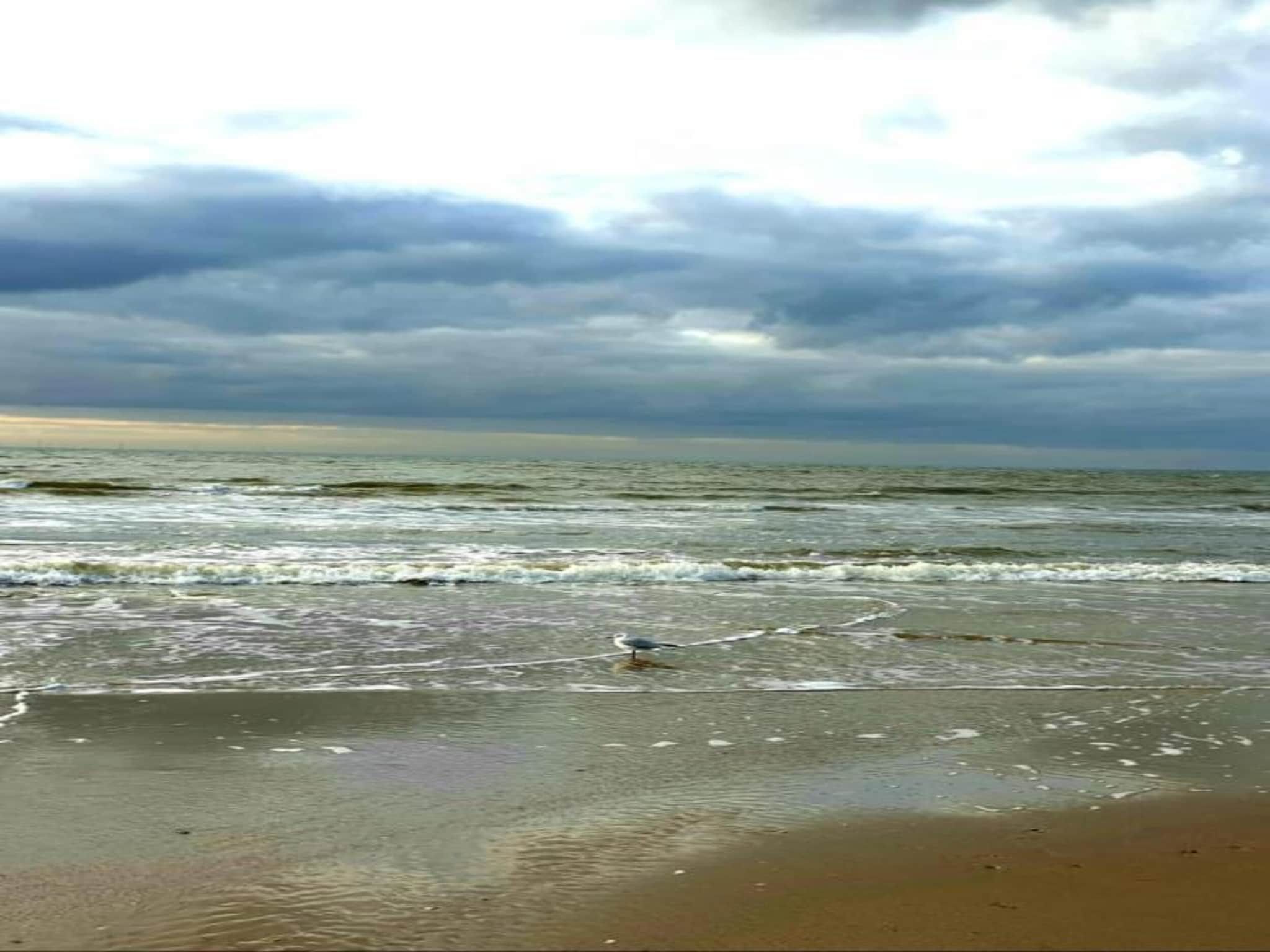 Egmonds Duintje in Egmond aan zee - Foto 37 van 40