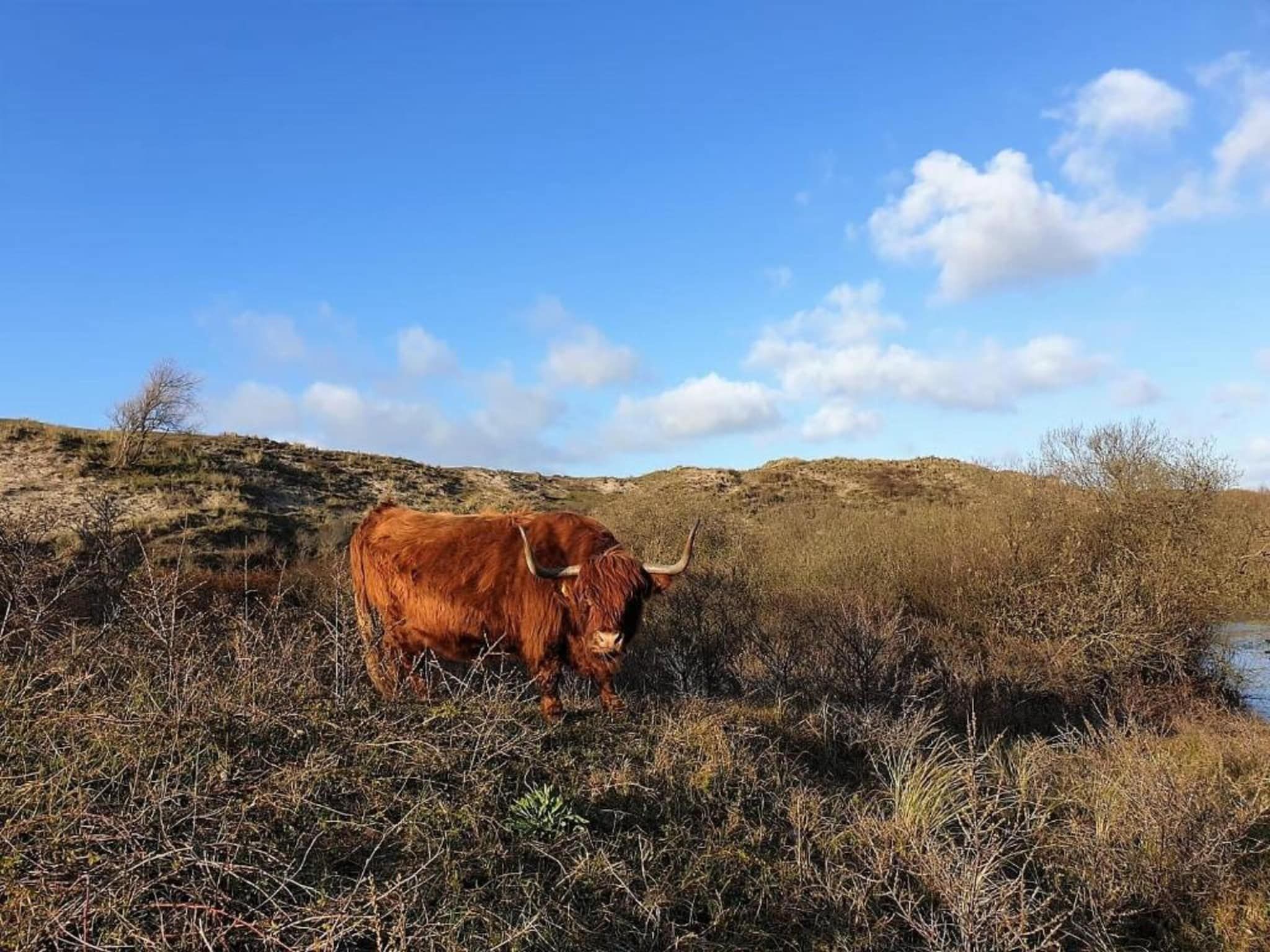Egmonds Duintje in Egmond aan zee - Foto 18 van 40
