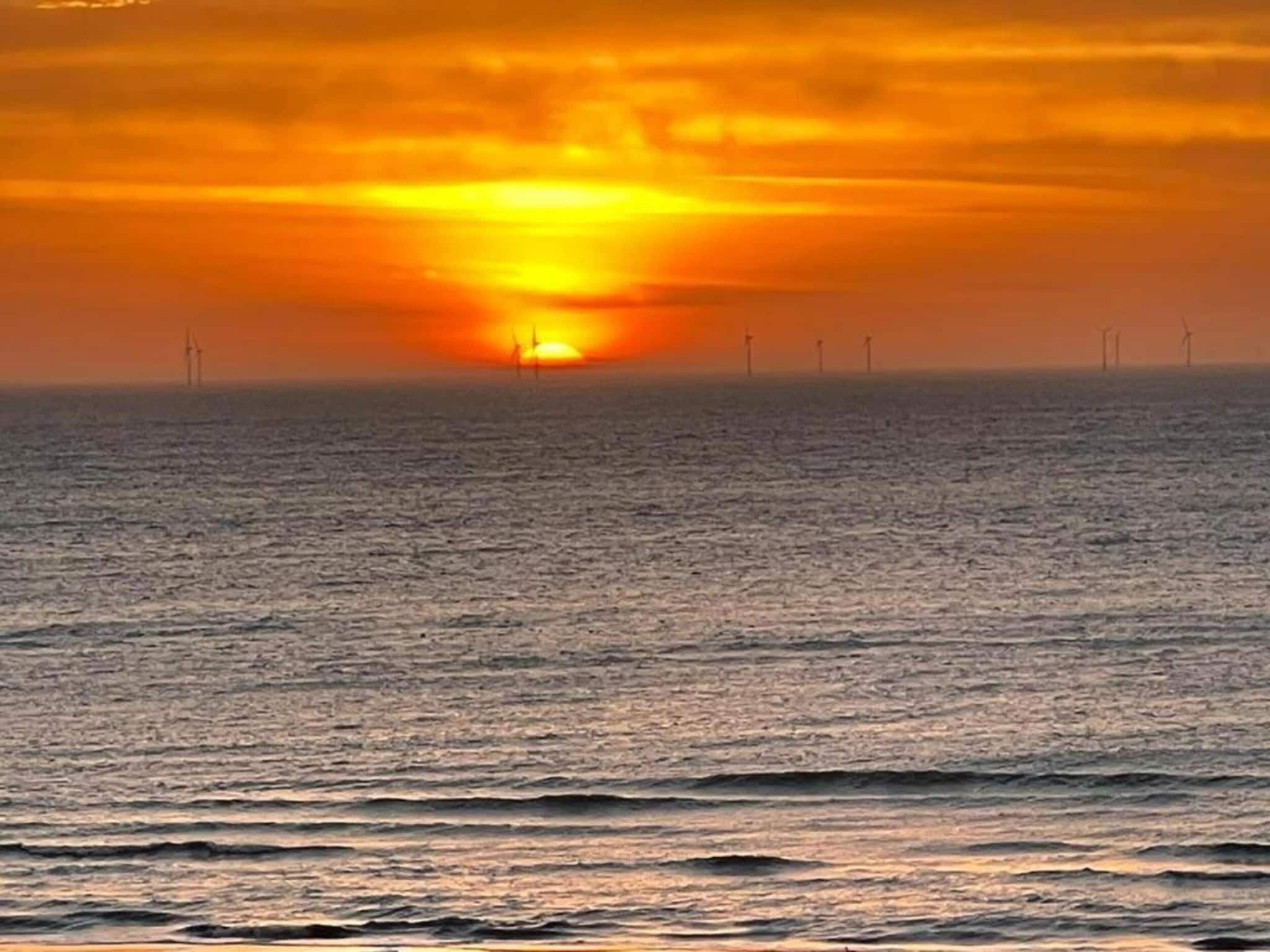 Egmonds Duintje in Egmond aan zee - Foto 20 van 40
