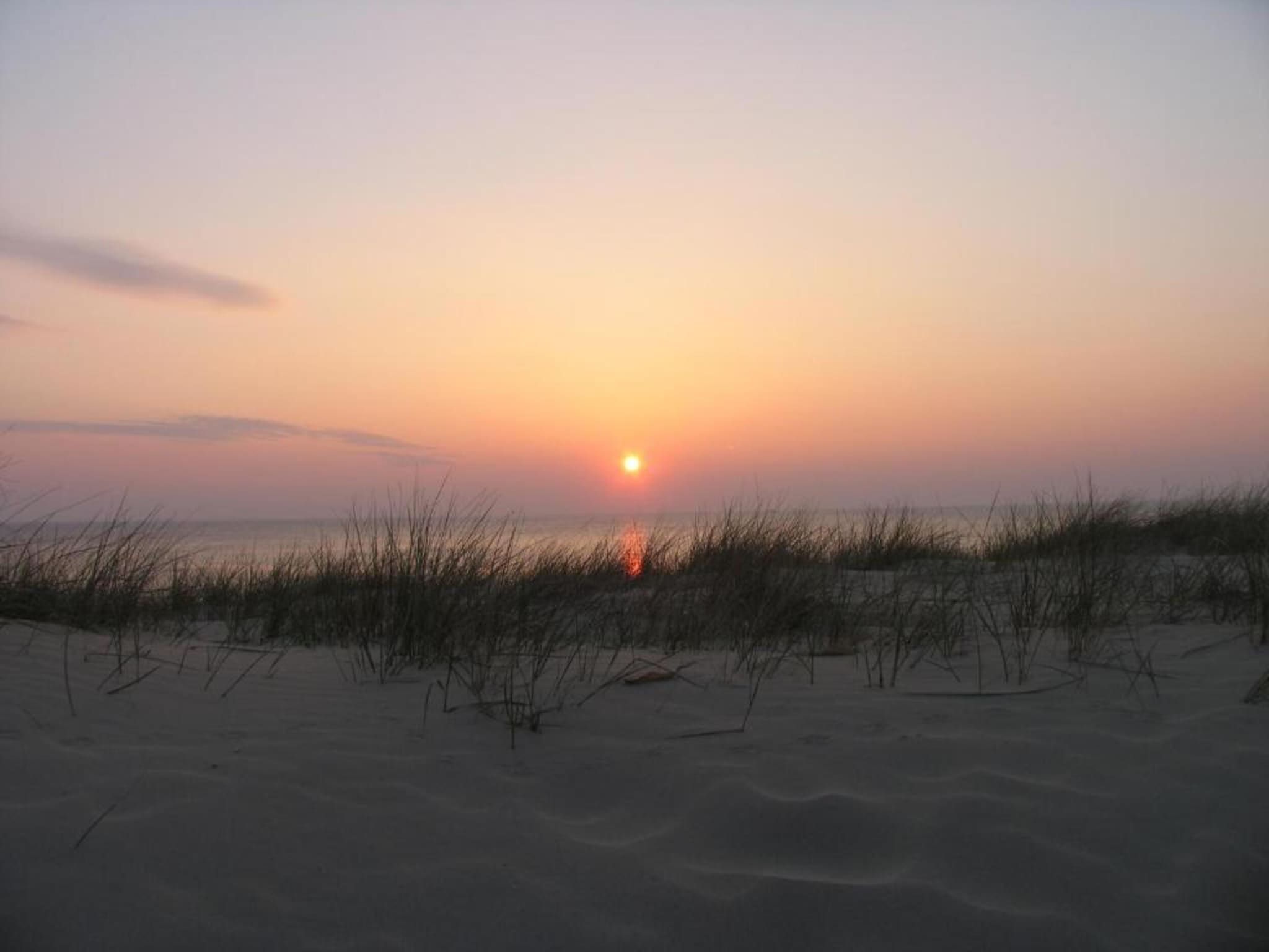 Egmonds Duintje in Egmond aan zee - Foto 31 van 40