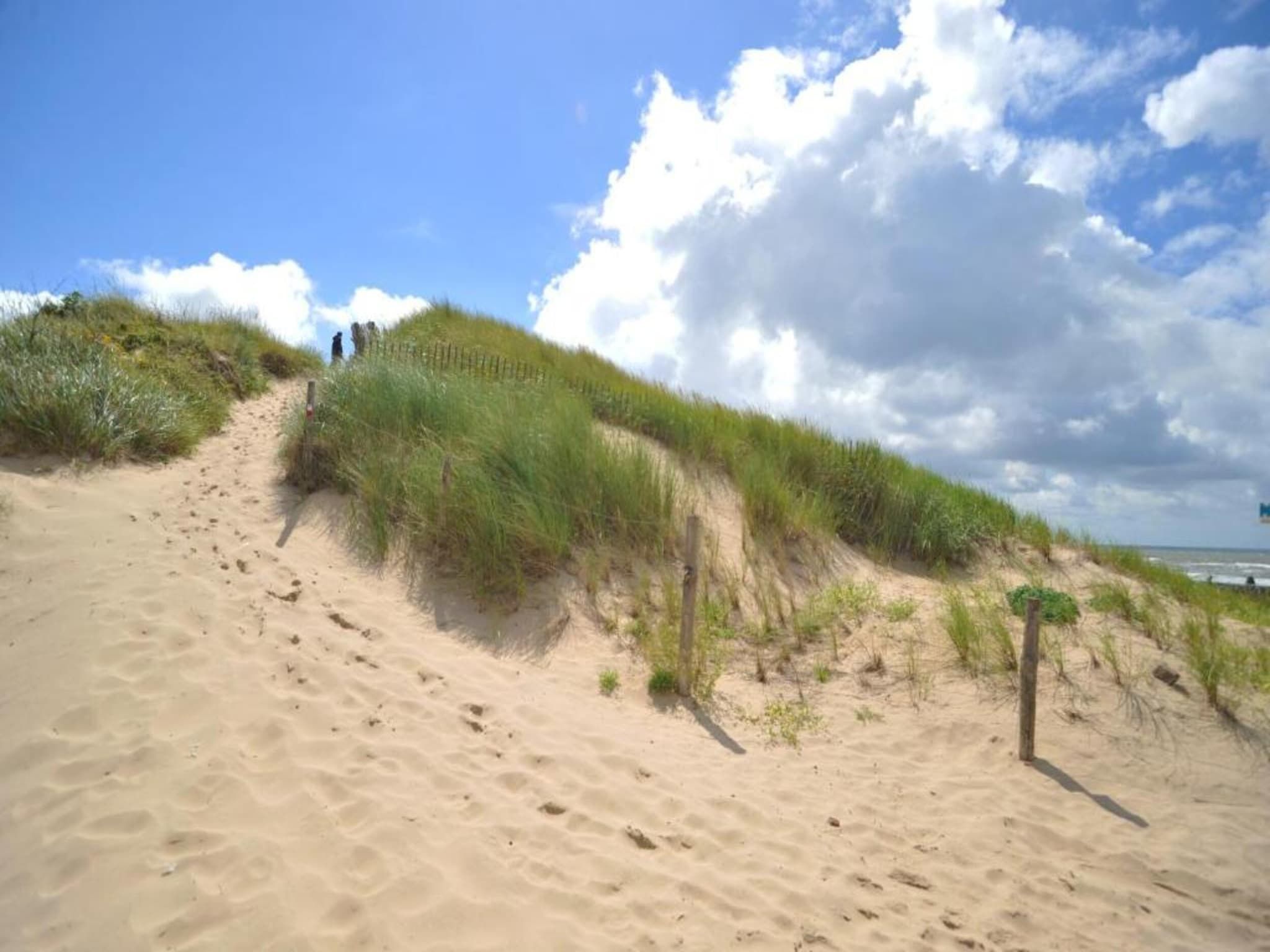 Egmonds Duintje in Egmond aan zee - Foto 33 van 40