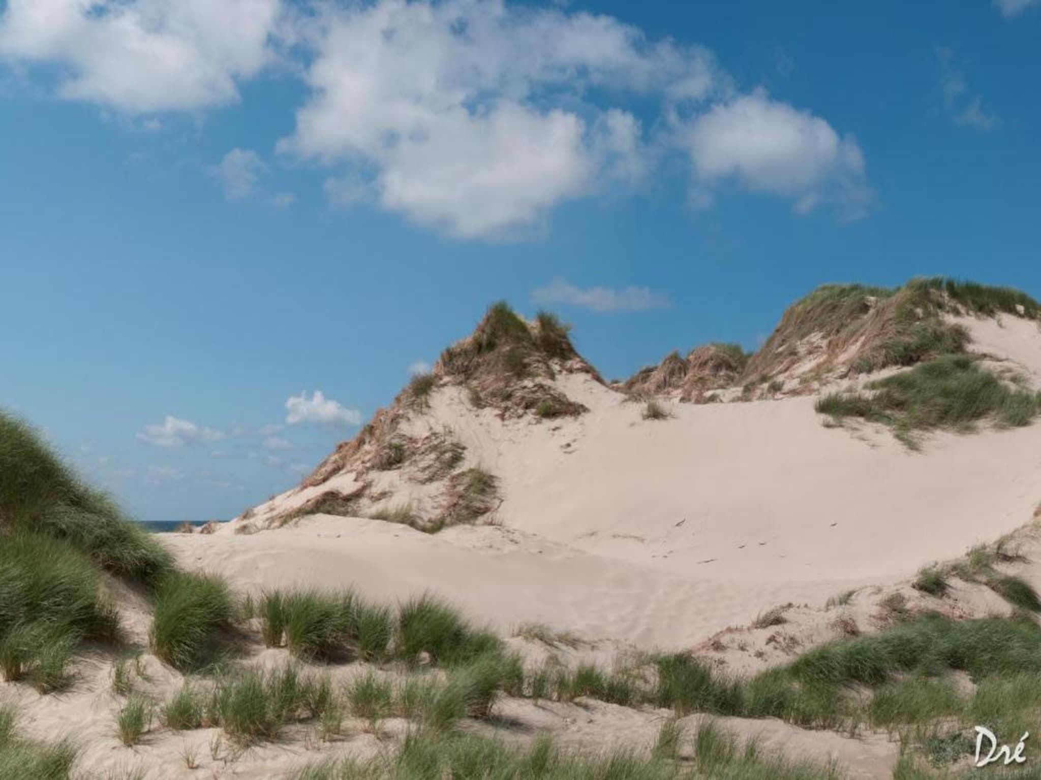 Egmonds Duintje in Egmond aan zee - Foto 34 van 40