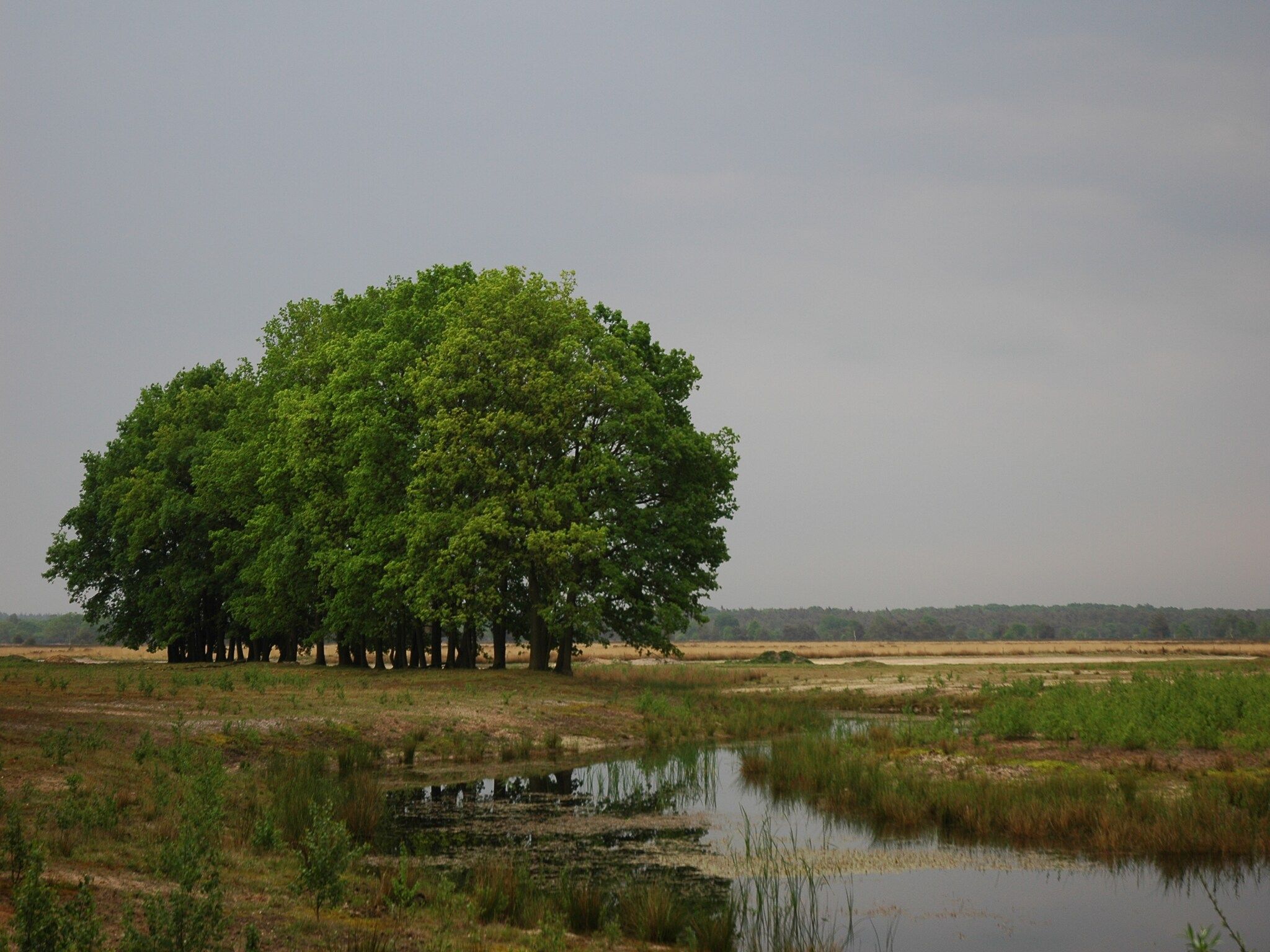 Landgoed De IJsvogel 2 in Voorthuizen - Foto 27 van 40