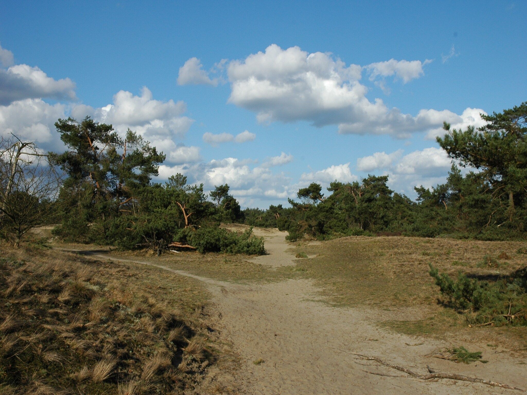 Landgoed De IJsvogel 2 in Voorthuizen - Foto 28 van 40