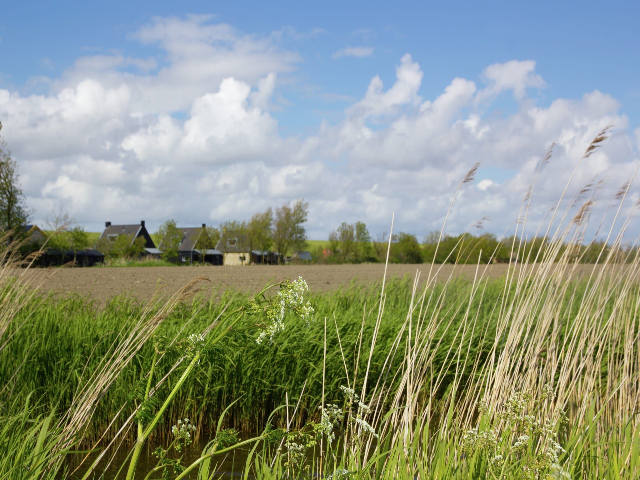 Het uitzicht vanaf Zeedijk I in Tzummarum