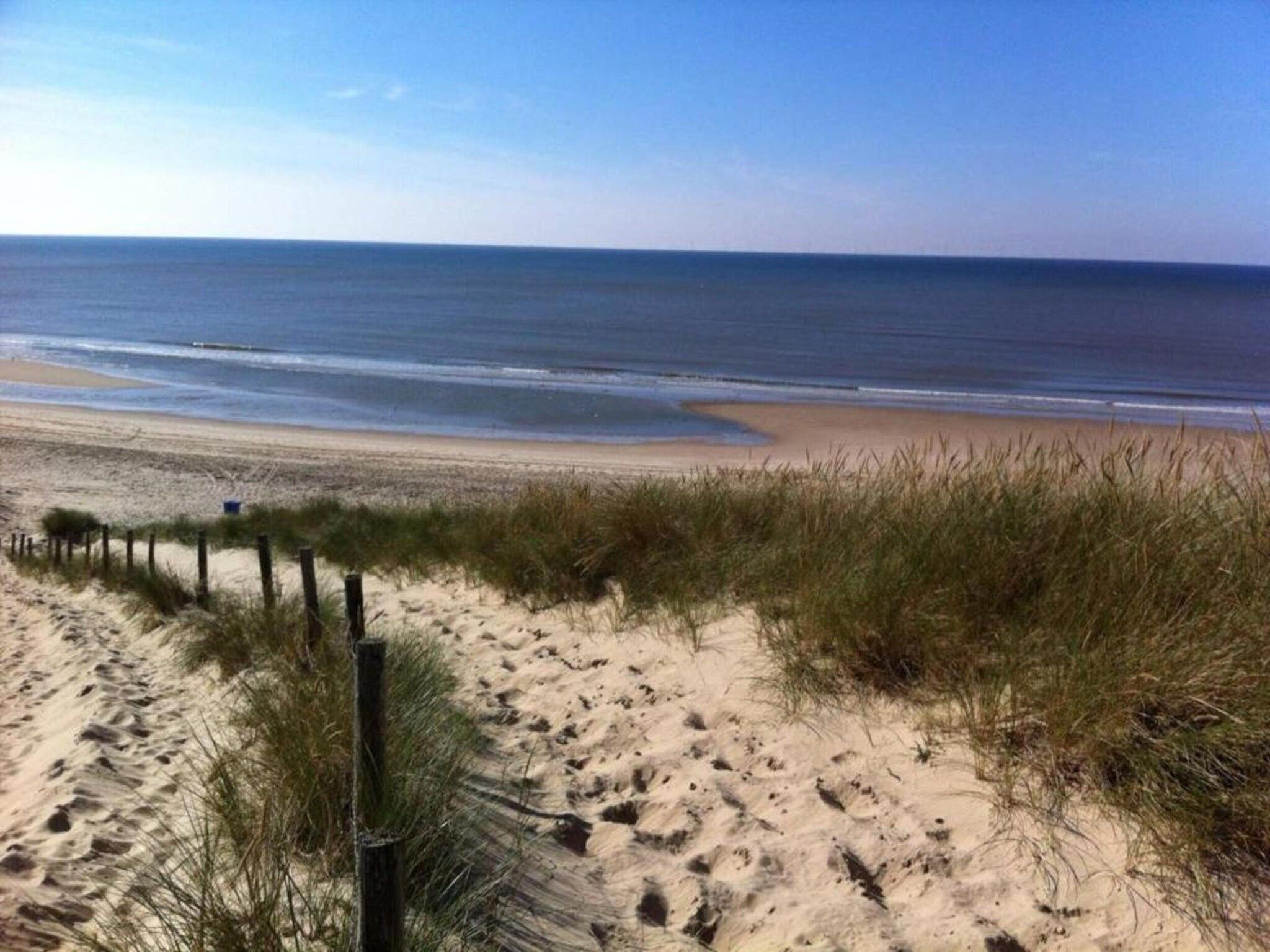 Naast het Bollenveld in Egmond-Binnen - Foto 39 van 40