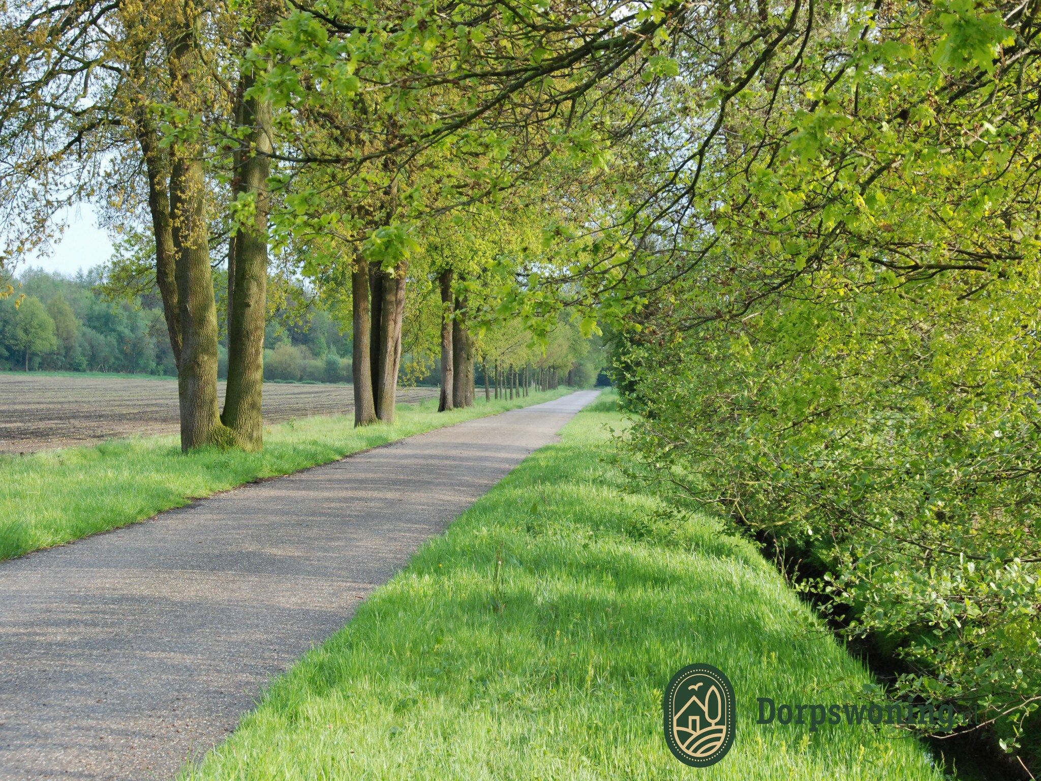 Dorpswoning De Plek in Leende - Foto 25 van 40