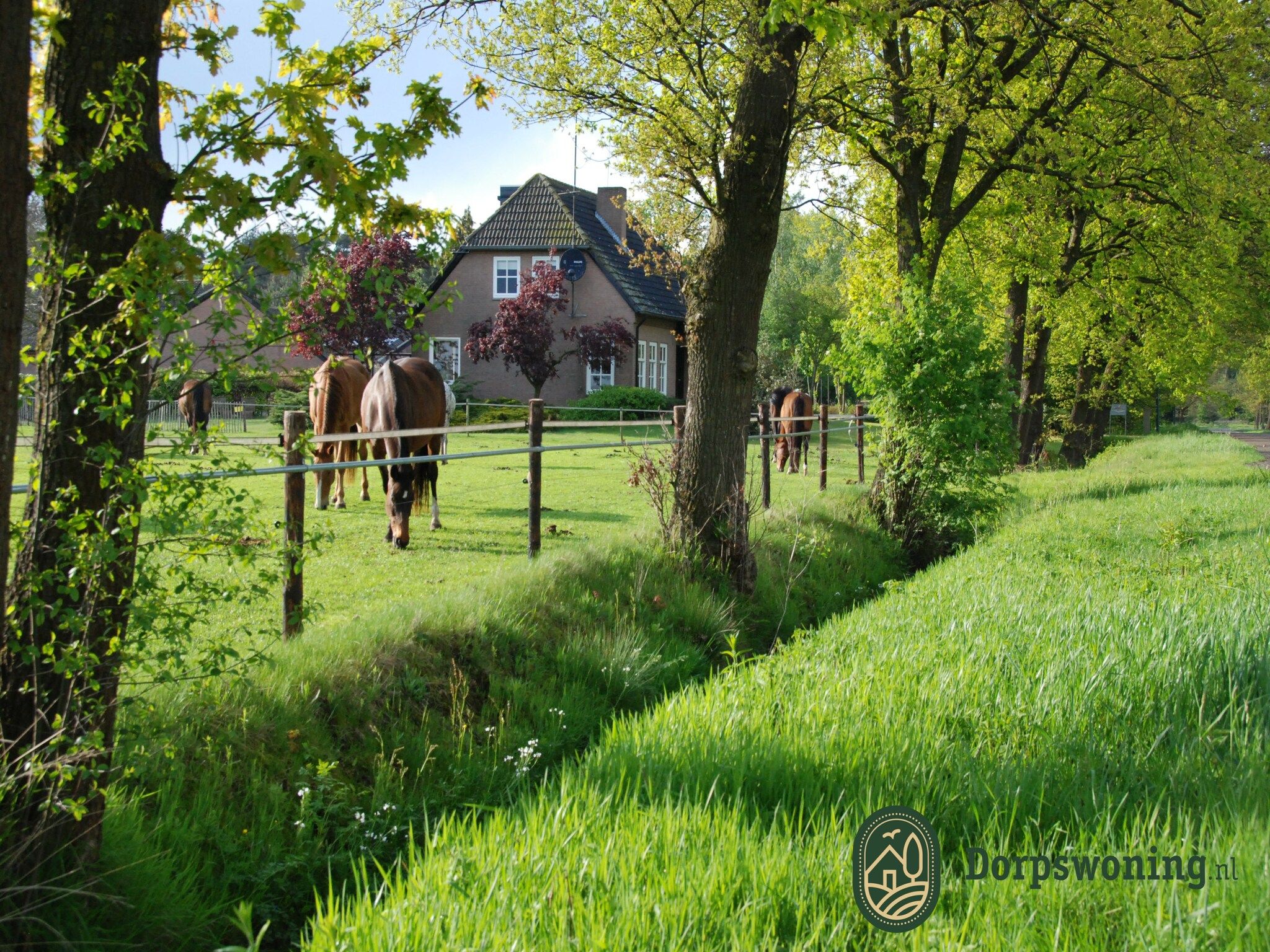 Dorpswoning De Plek in Leende - Foto 6 van 40