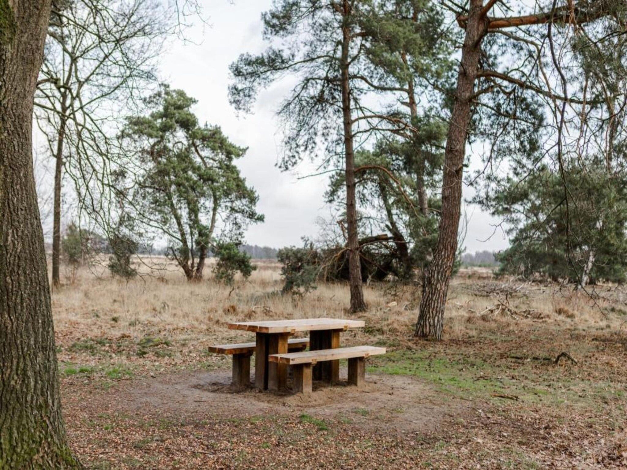 Dorpswoning De Plek in Leende - Foto 29 van 40