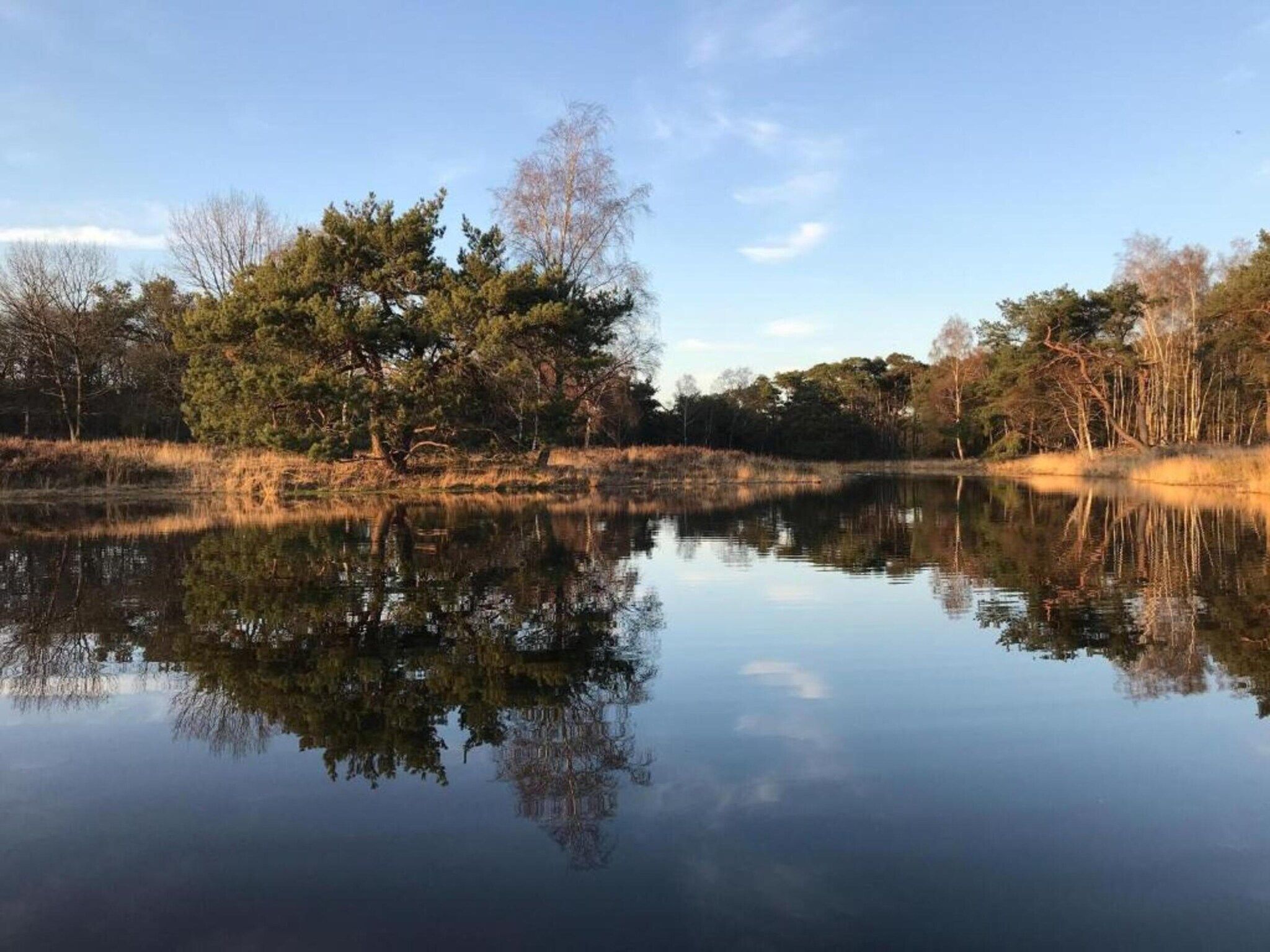 Dorpswoning De Plek in Leende - Foto 38 van 40