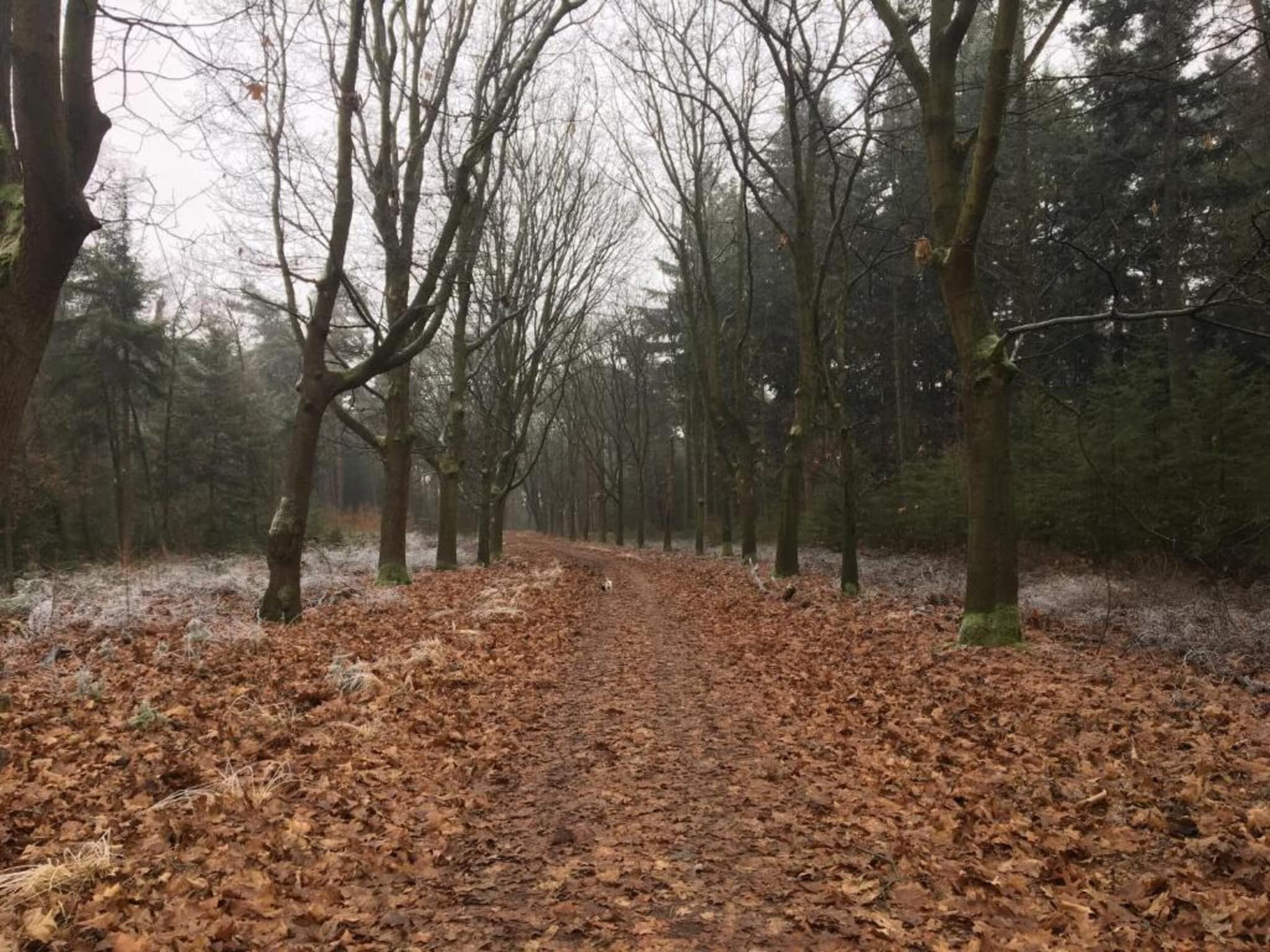 Dorpswoning Het Uitzicht in Leende - Foto 33 van 40