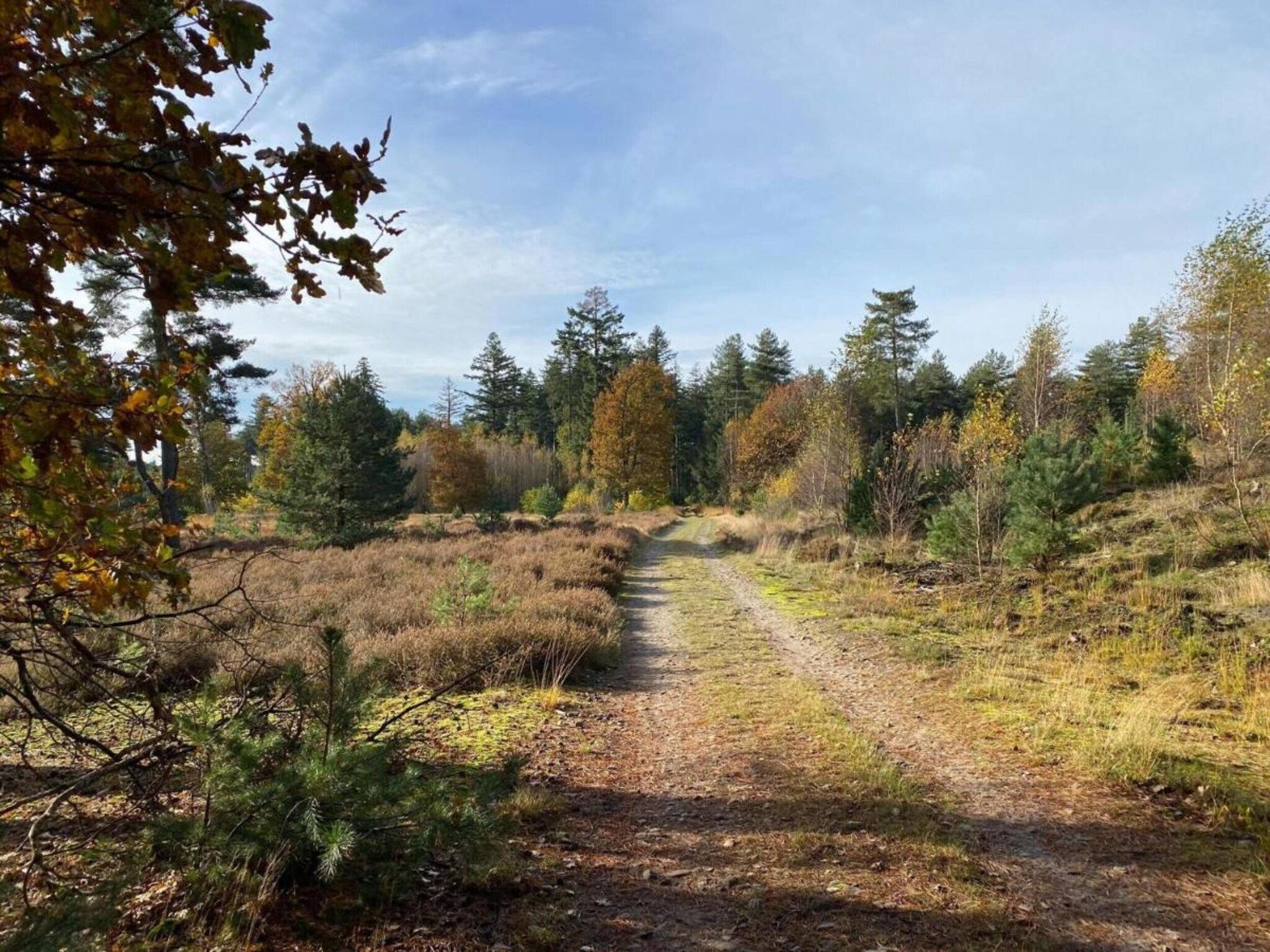 Dorpswoning Het Uitzicht in Leende - Foto 36 van 40
