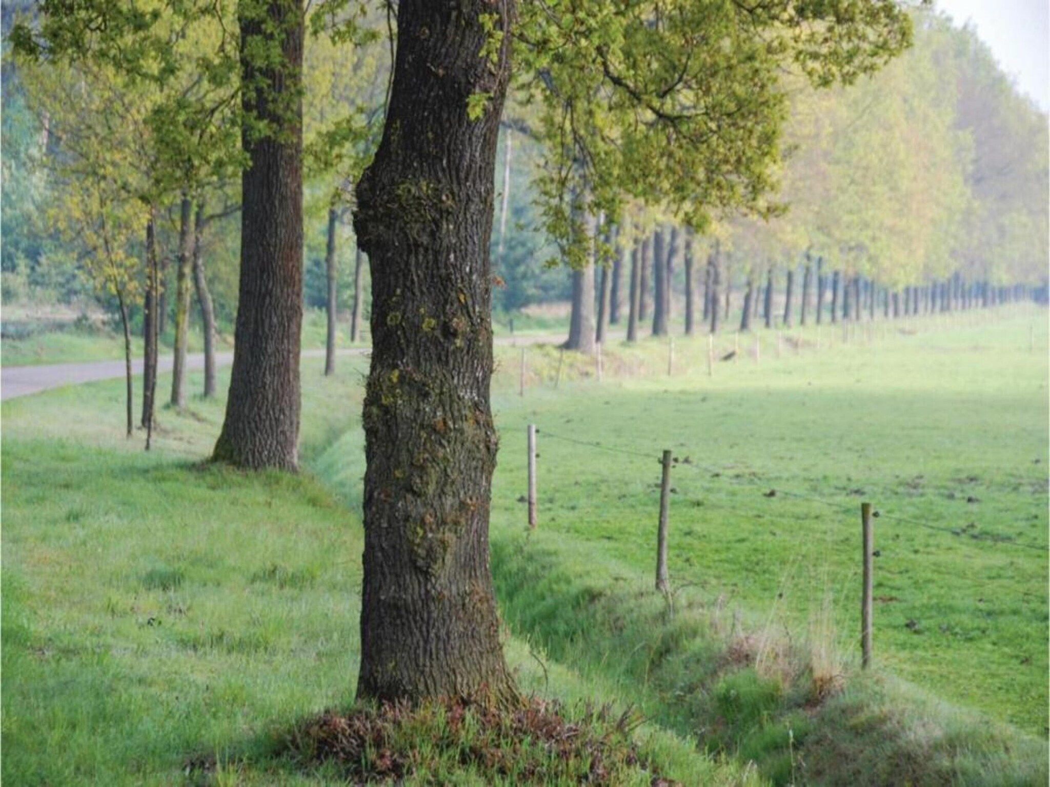 Dorpswoning Het Uitzicht in Leende - Foto 35 van 40