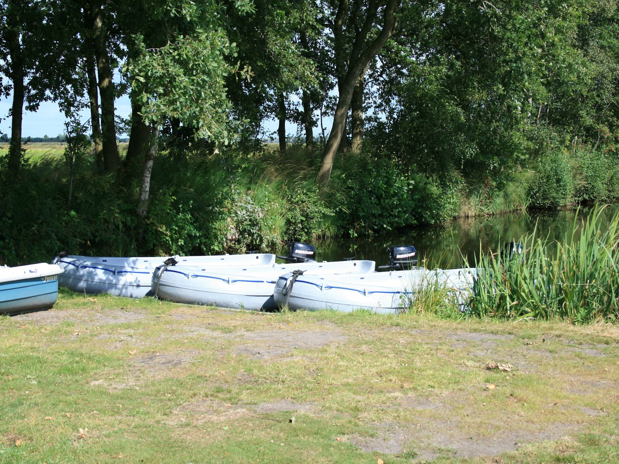 Landgoed Eysinga State 3 in Sint Nicolaasga - Foto 18 van 36
