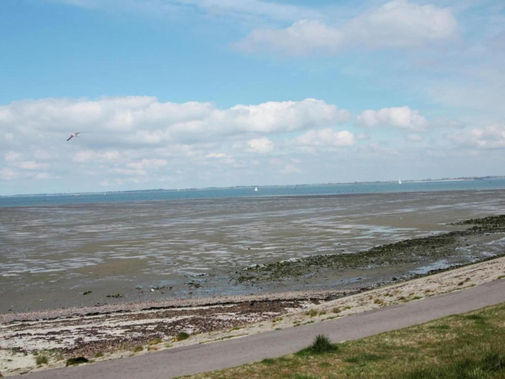 Aan de Oosterschelde in Kattendijke - Foto 40 van 40