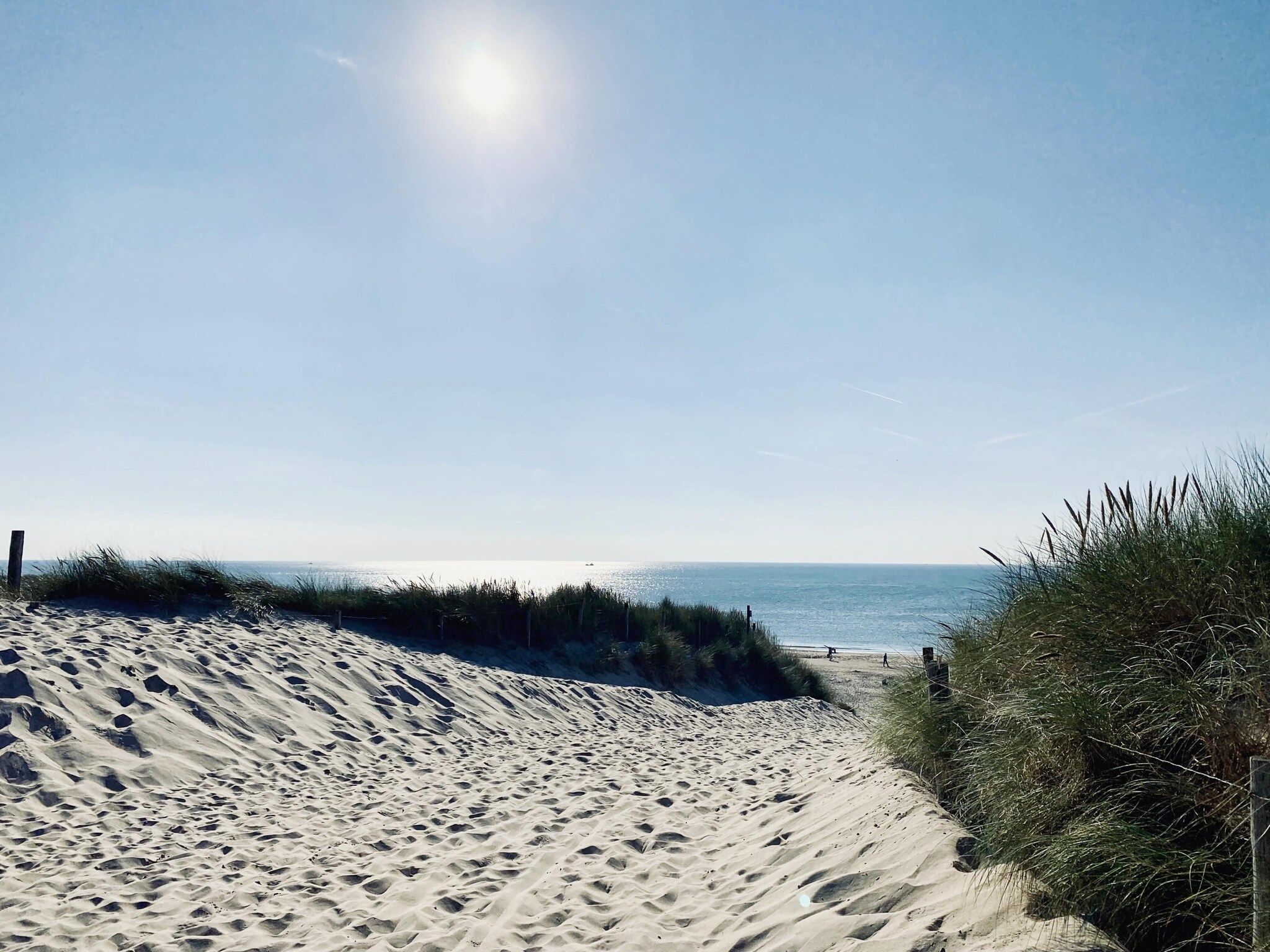 de Biotoop in Callantsoog - Foto 34 van 40