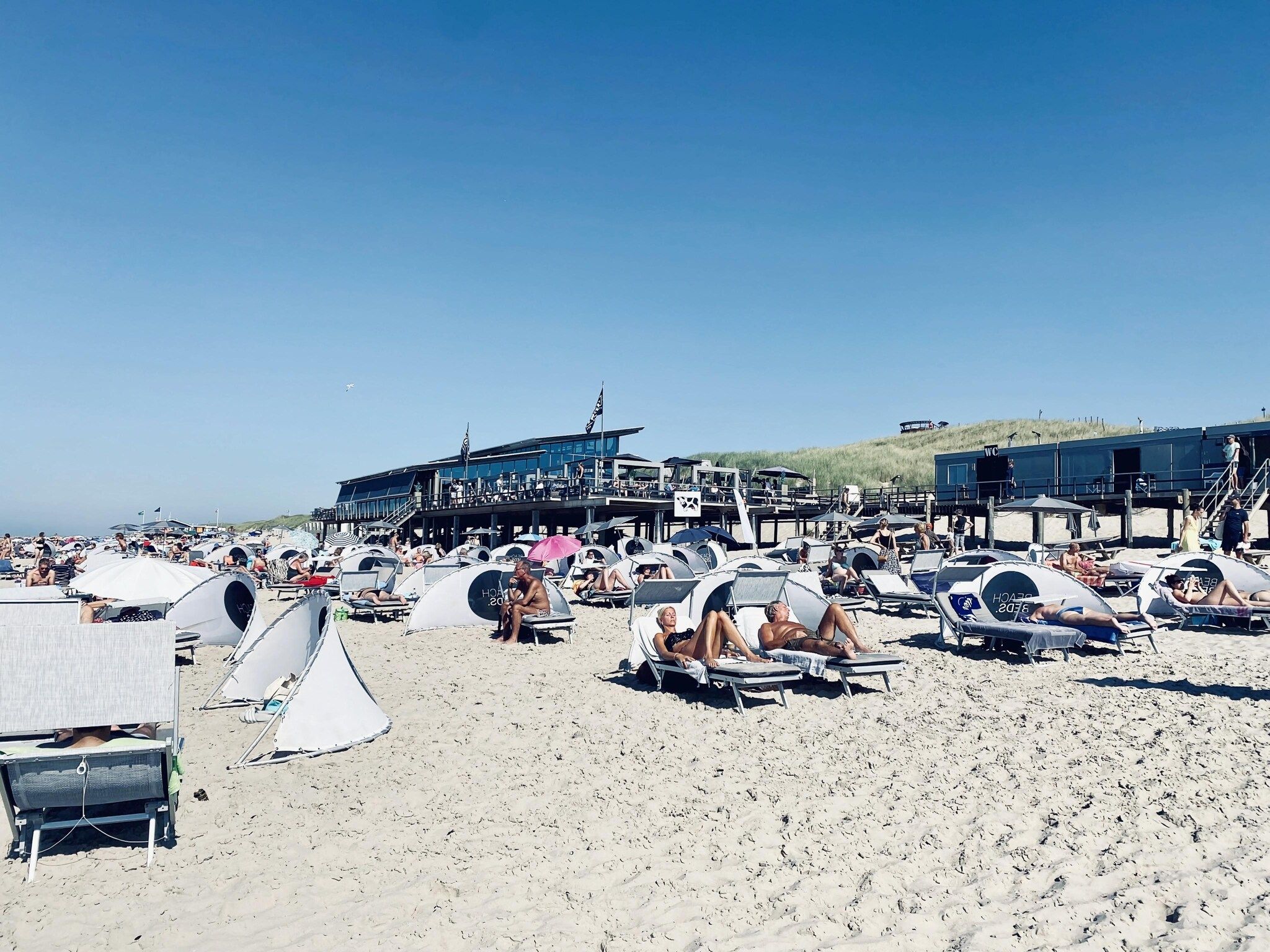 De omgeving van de Biotoop in Callantsoog