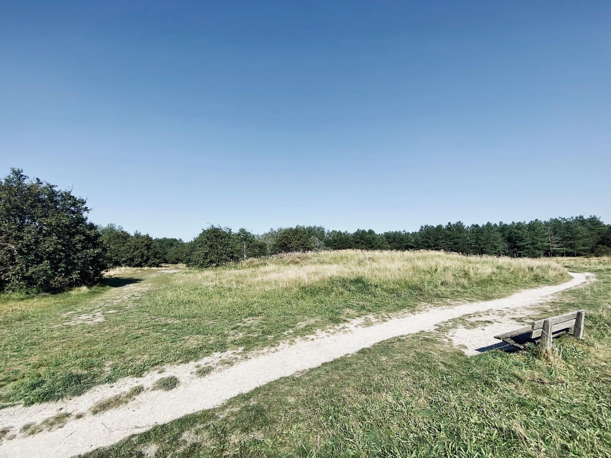 De omgeving van de Biotoop in Callantsoog