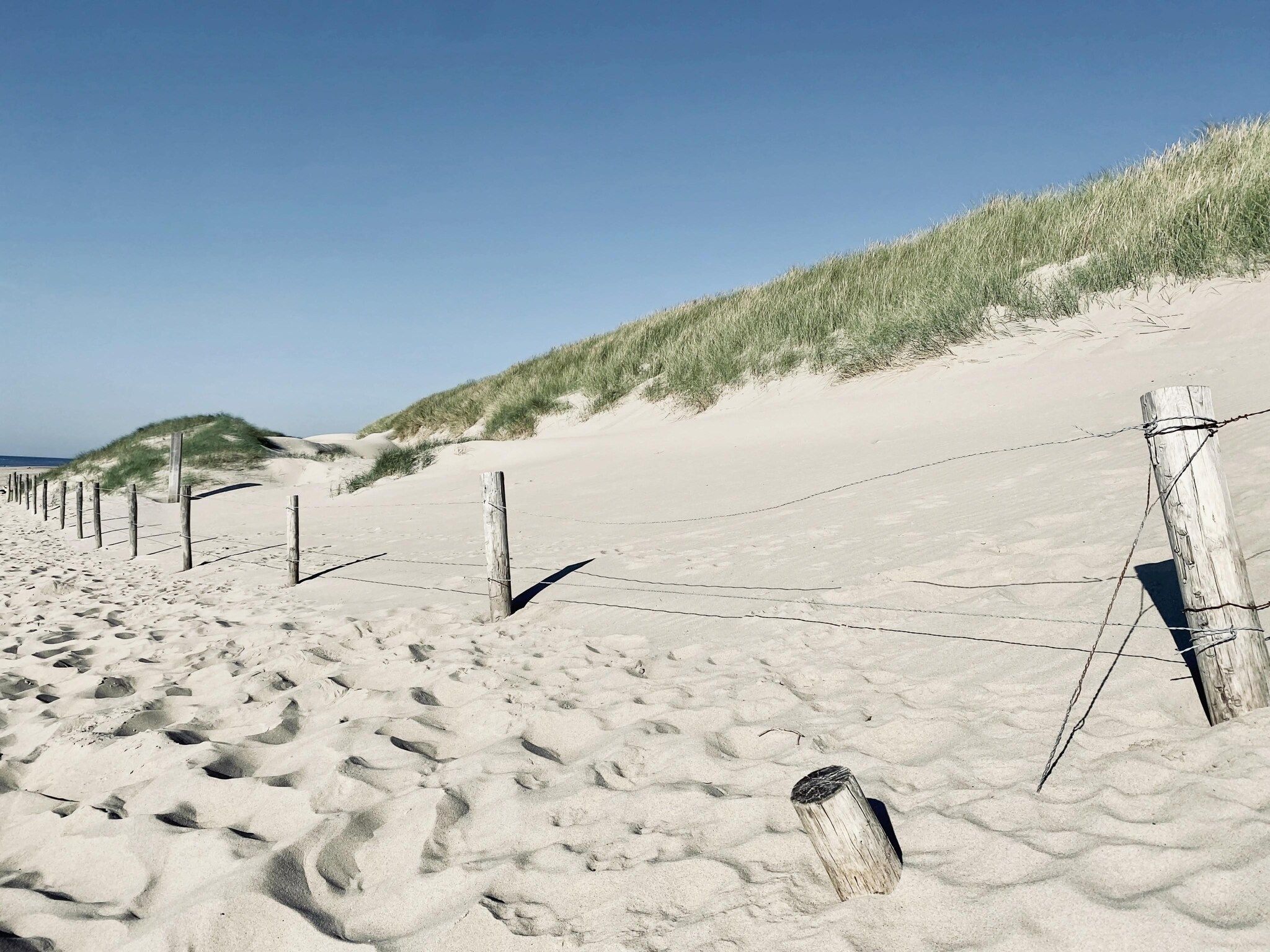 De omgeving van de Biotoop in Callantsoog