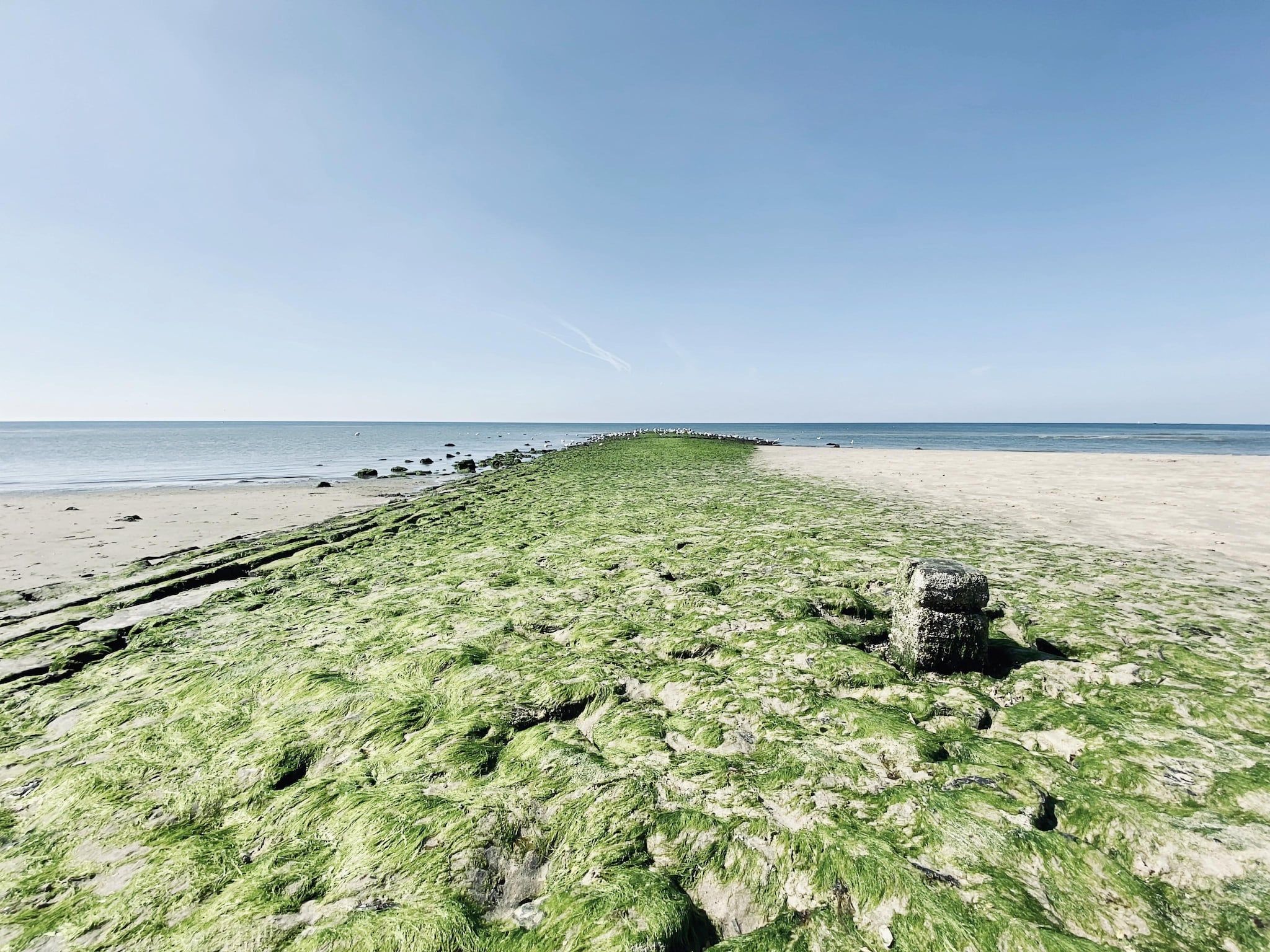 de Biotoop in Callantsoog - Foto 35 van 40