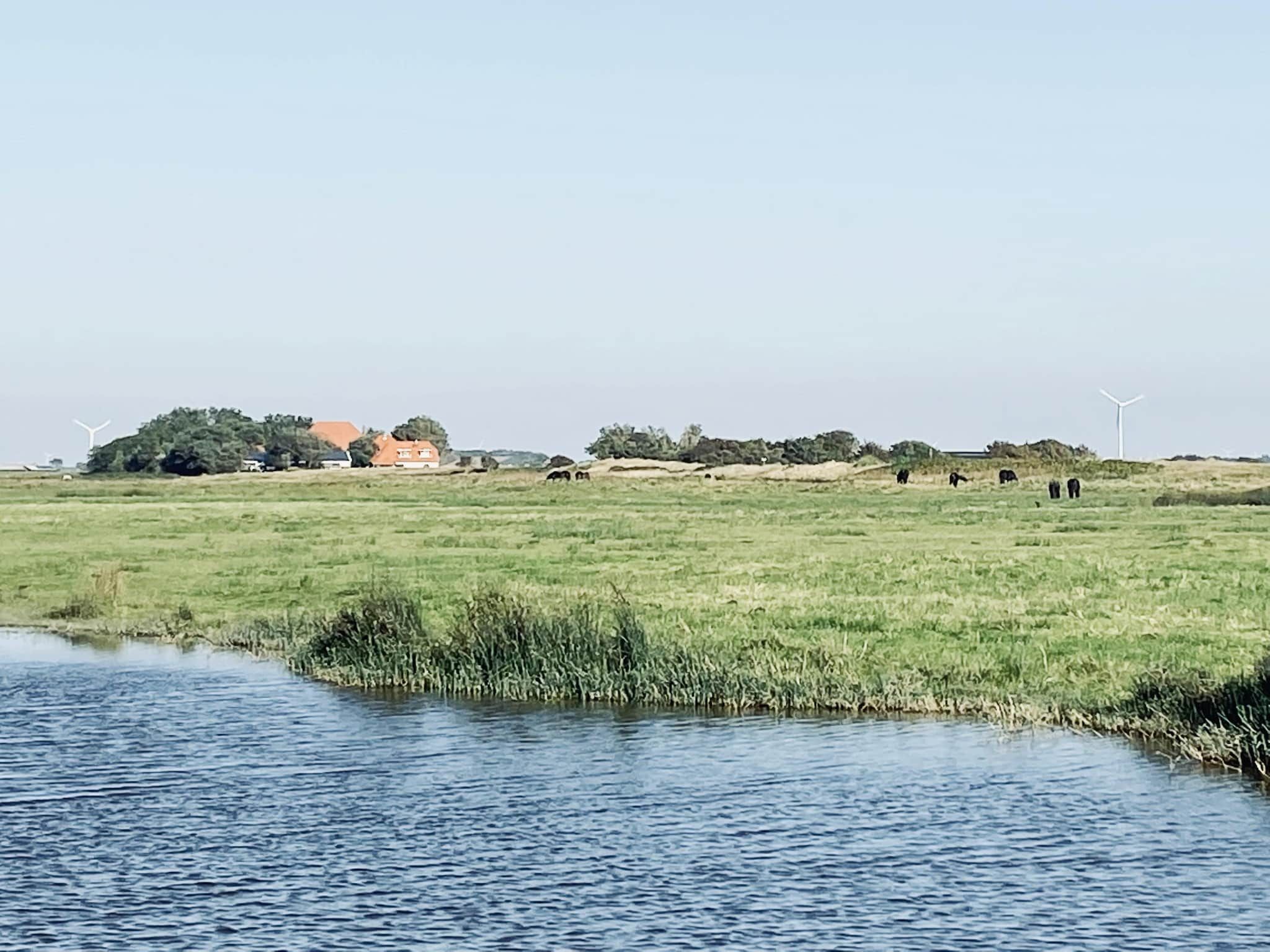 De omgeving van de Biotoop in Callantsoog