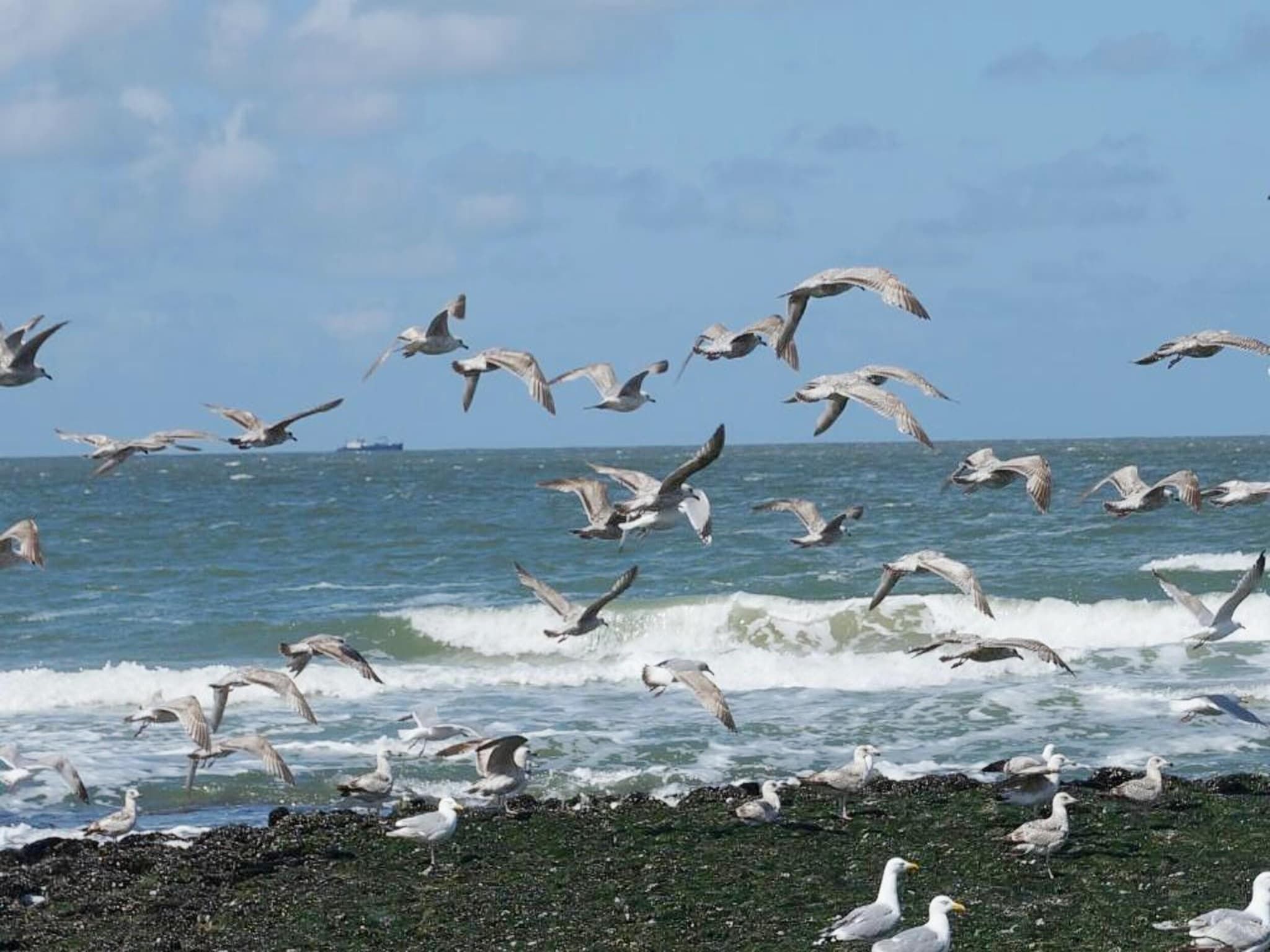 de Biotoop in Callantsoog - Foto 37 van 40