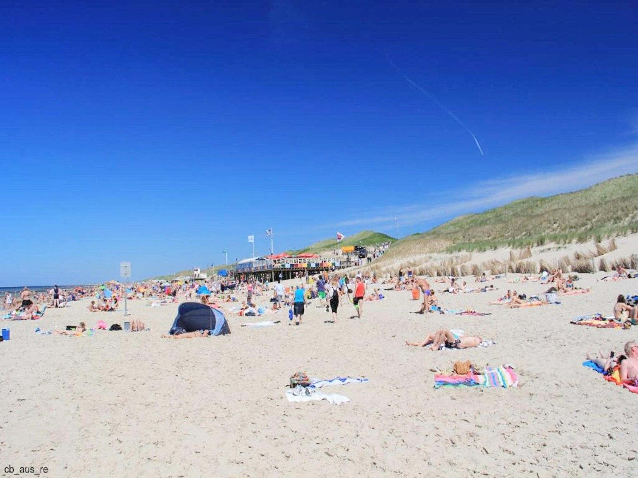De omgeving van de Biotoop in Callantsoog