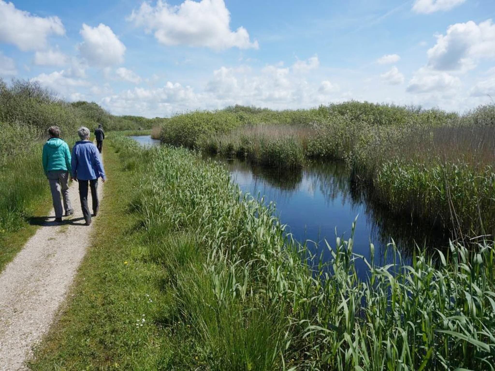 De omgeving van de Biotoop in Callantsoog