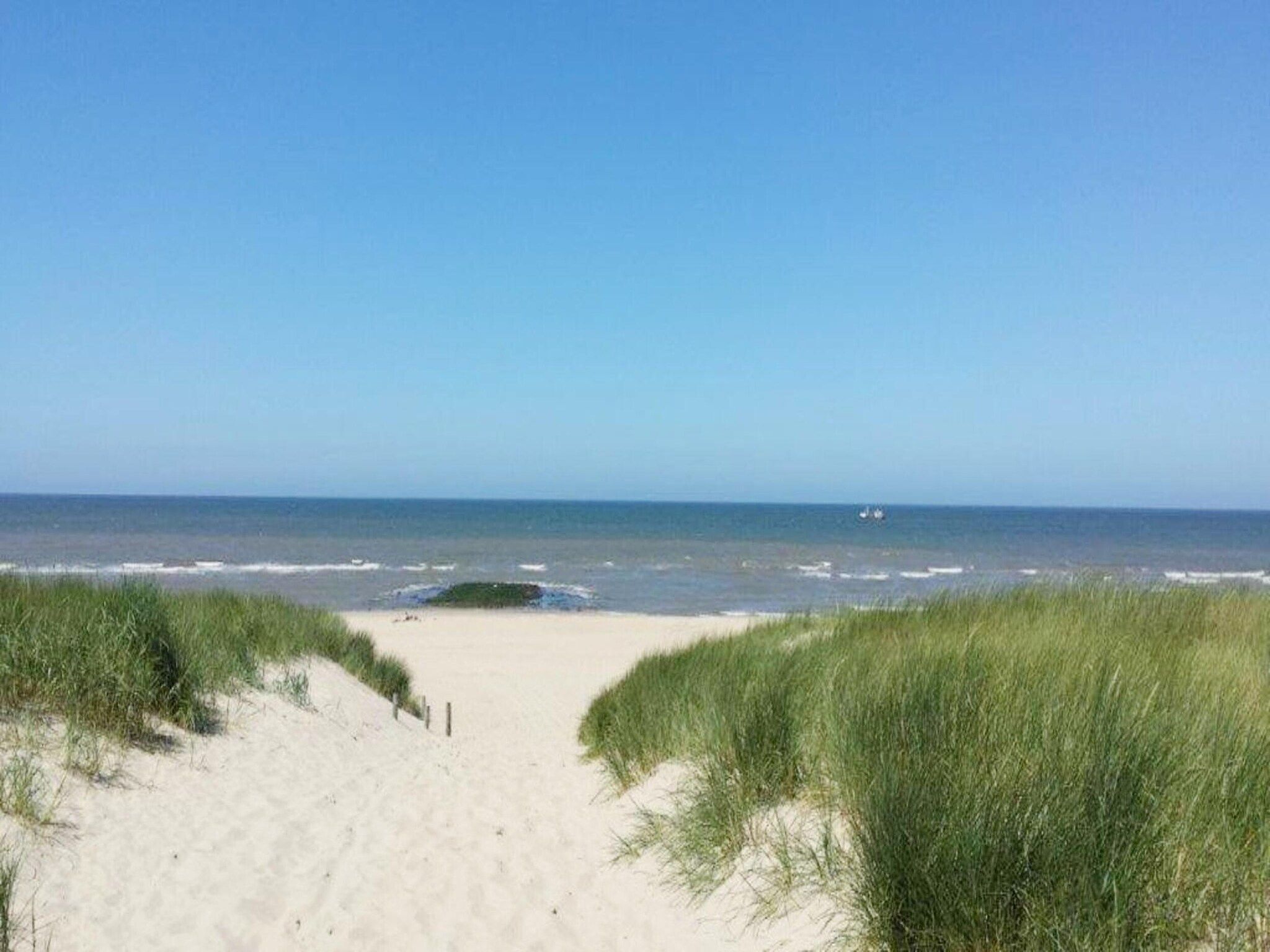 De omgeving van de Biotoop in Callantsoog