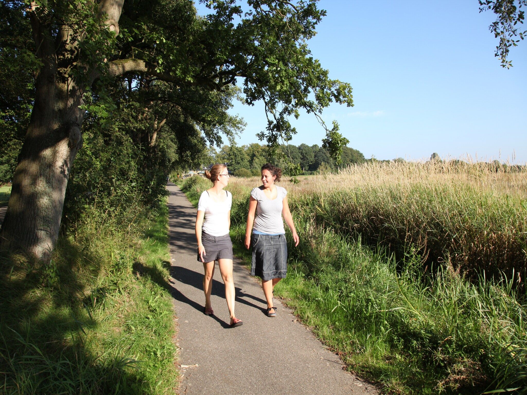 De omgeving van Villapark Akenveen 1 in Tynaarlo