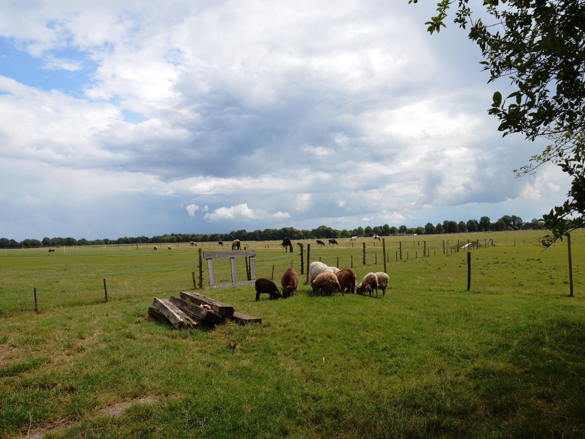 Het uitzicht vanaf Wapse in Wapse