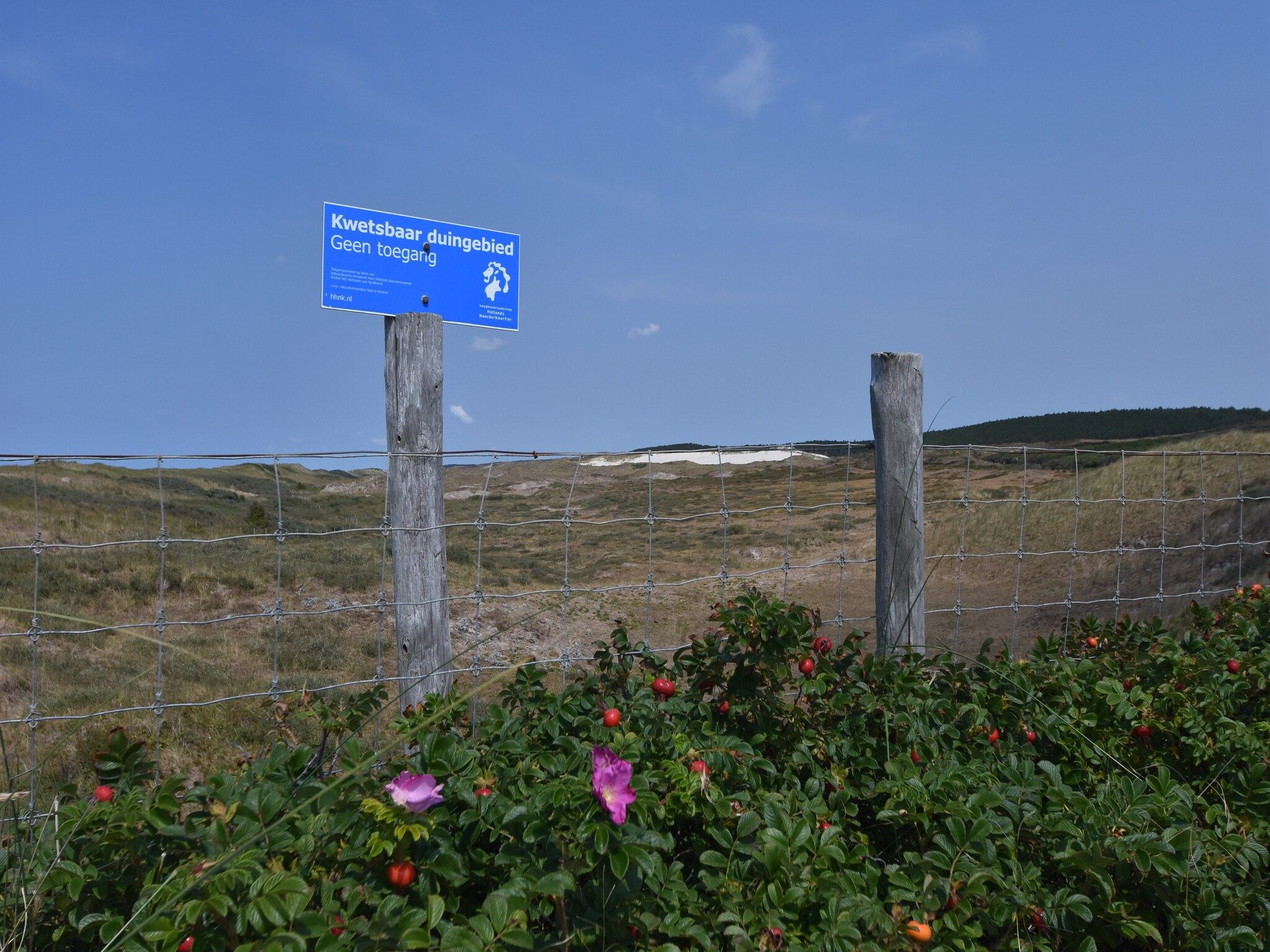 Huize Glory Parel in Bergen aan zee - Foto 22 van 40