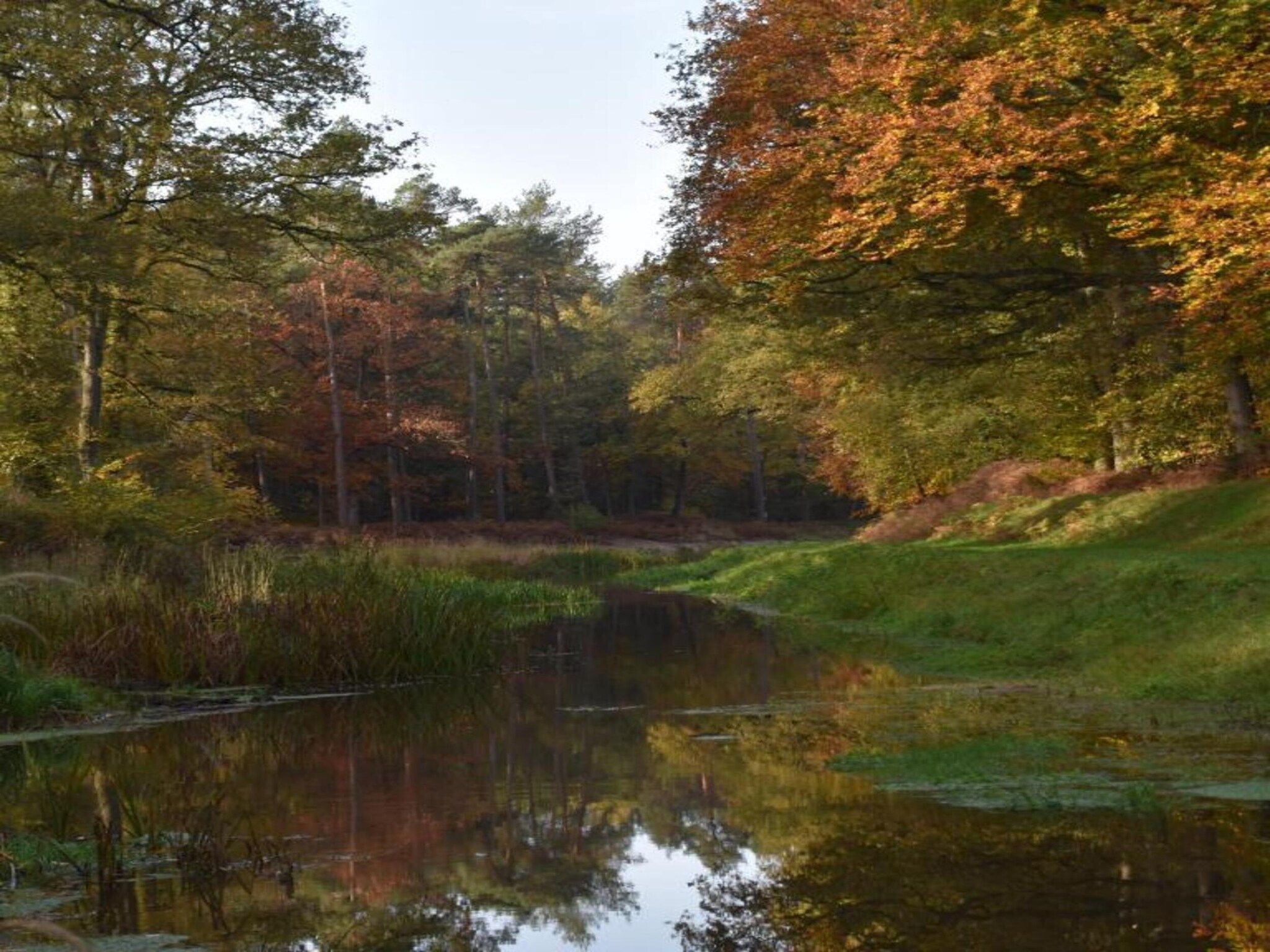 De ouwe diepvries in Haaksbergen - Foto 33 van 40