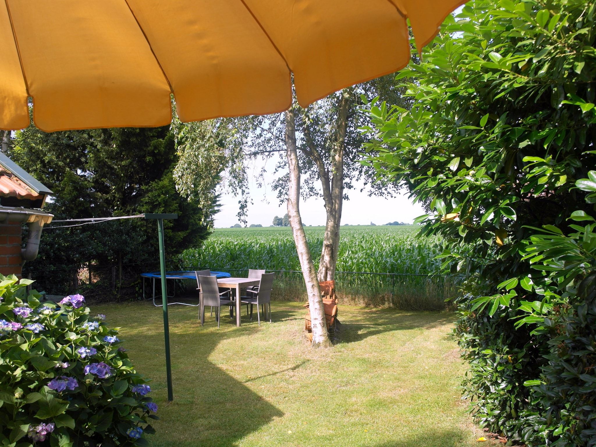 De tuin van De Merel in Den ham